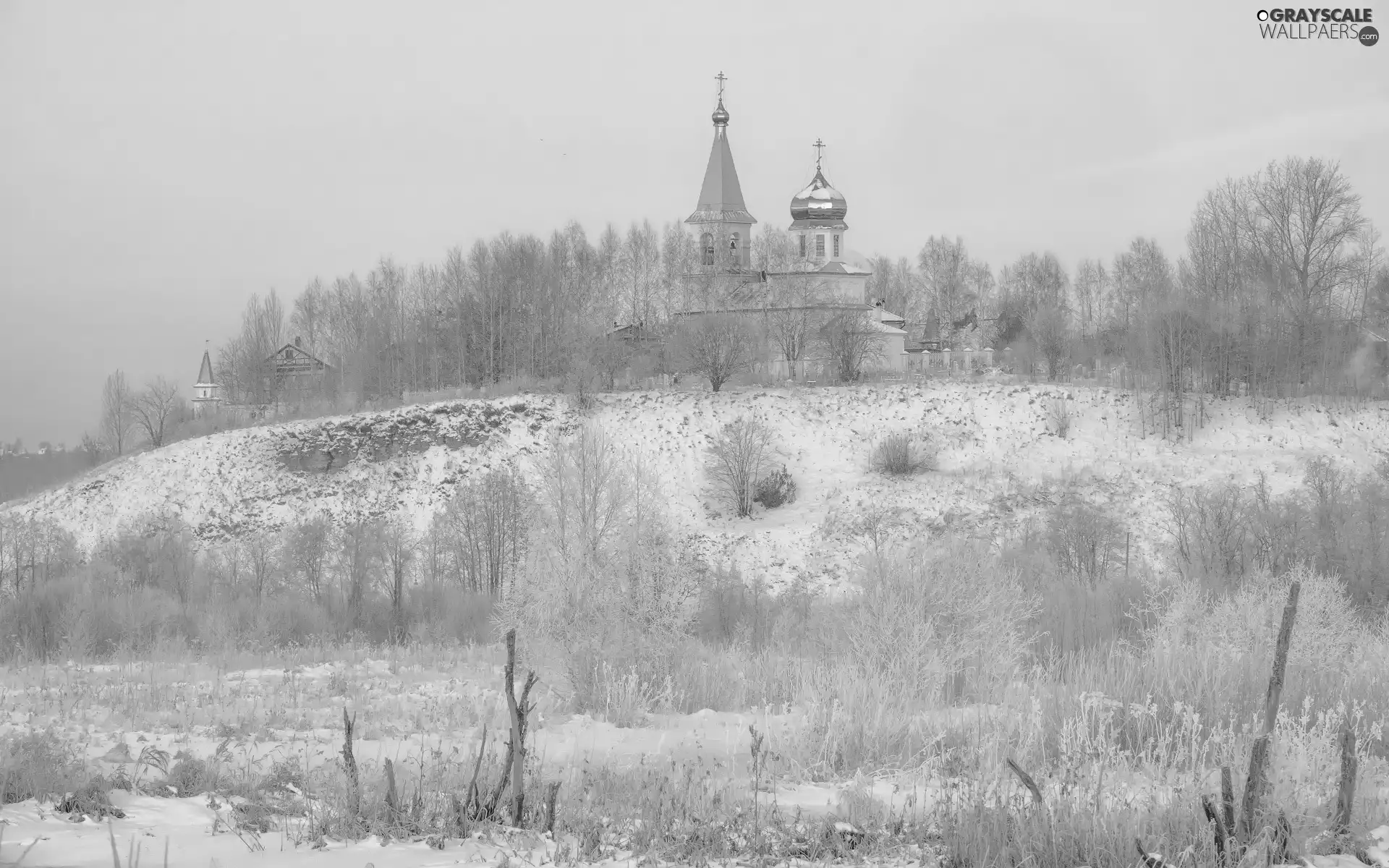 morning, winter, Hill, Cerkiew, Bush, Plants, trees, viewes, White frost