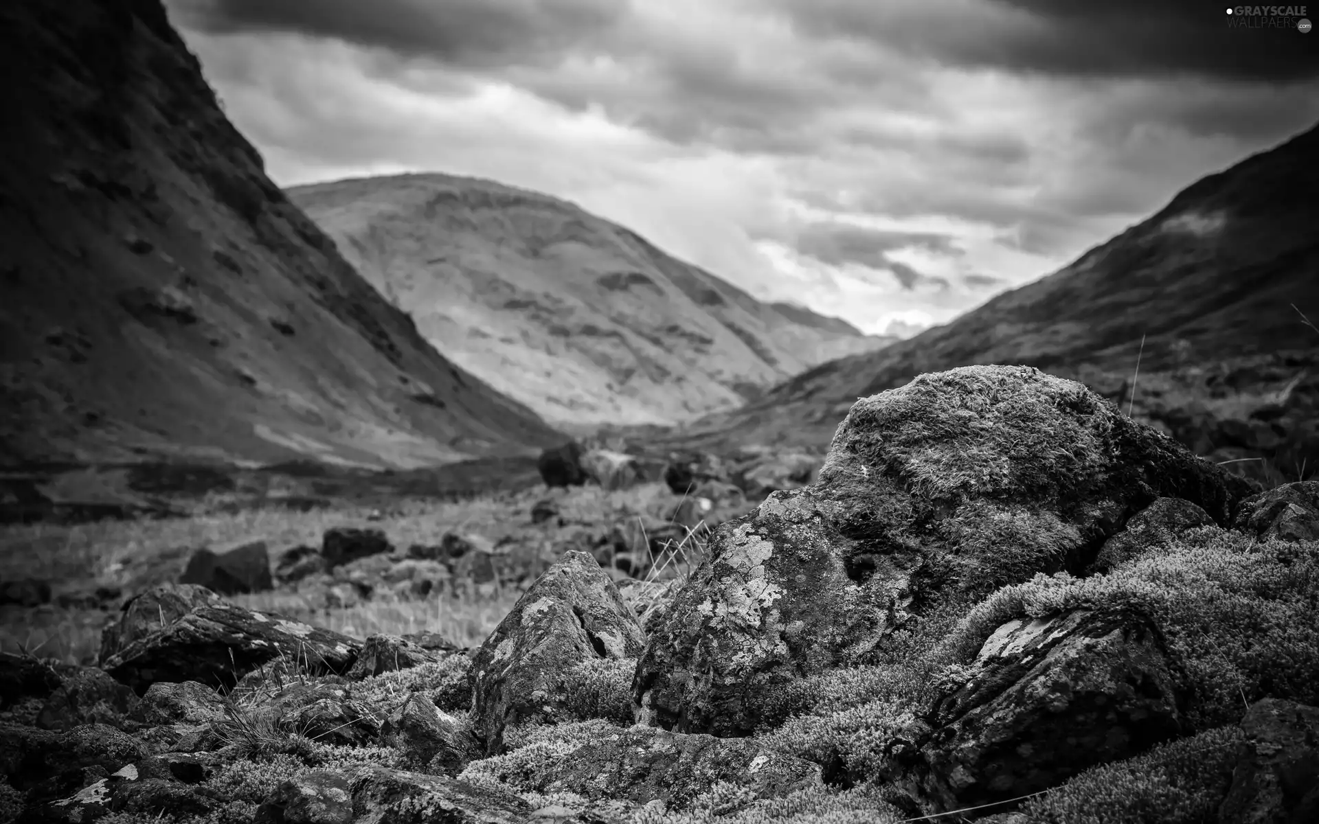 Moss, Mountains, Stones