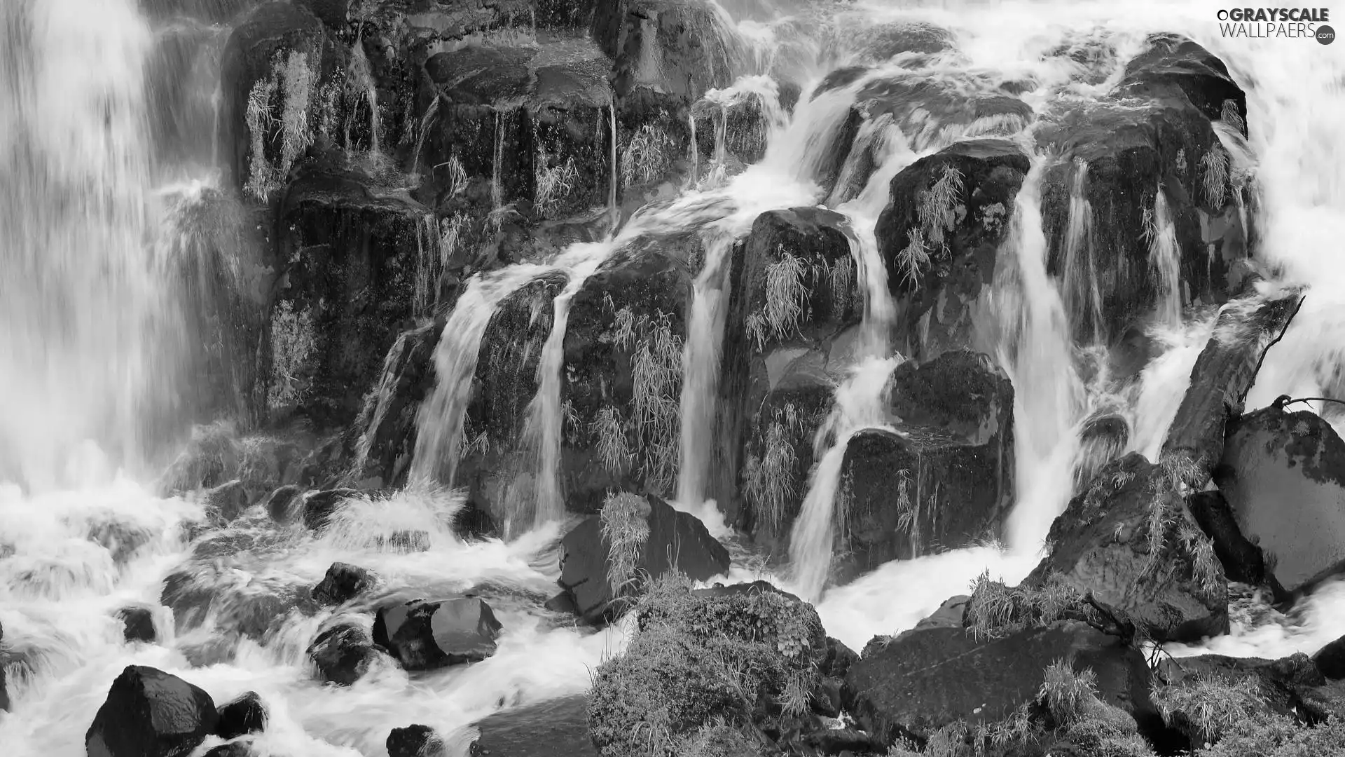 Moss, waterfall, Stones