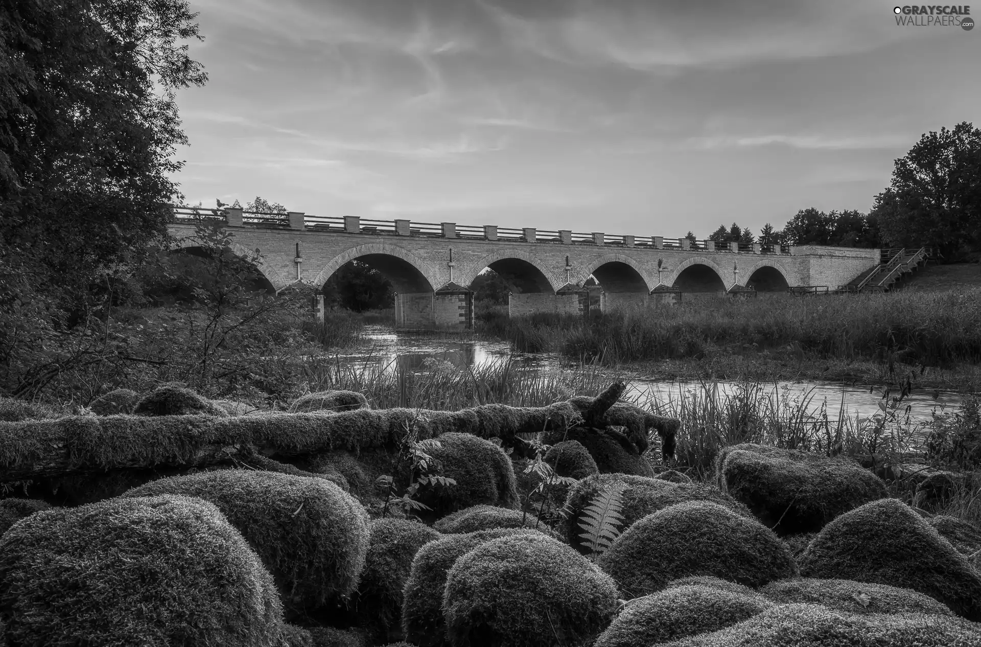 Stones, River, viewes, mossy, bridge, trees, Plants