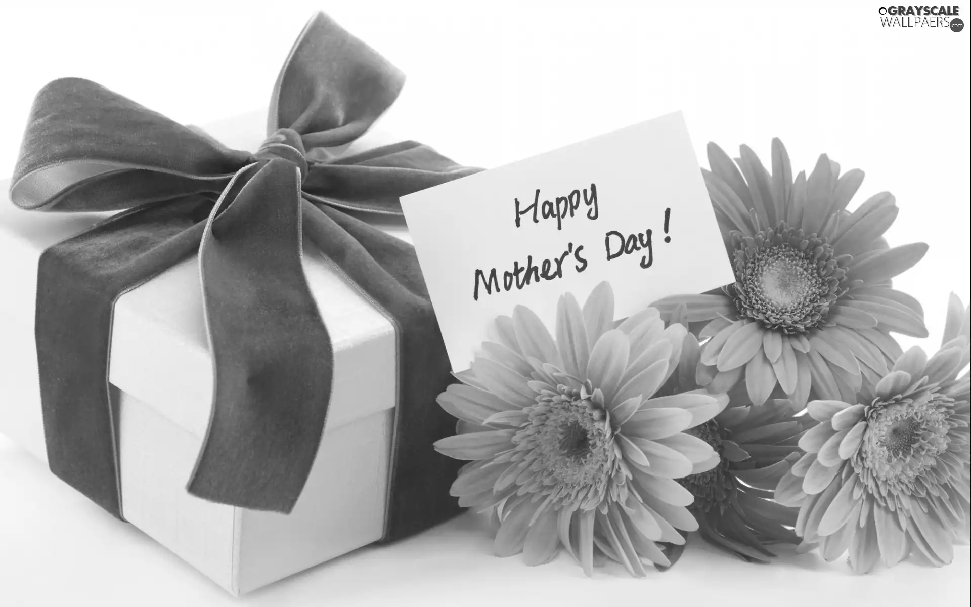 Gift, day, Mother, Flowers