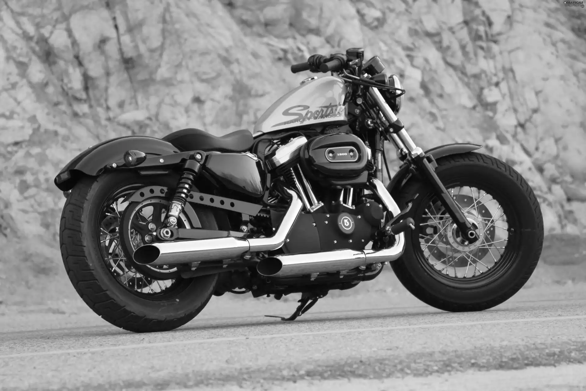 Harley- Davidson, motor-bike