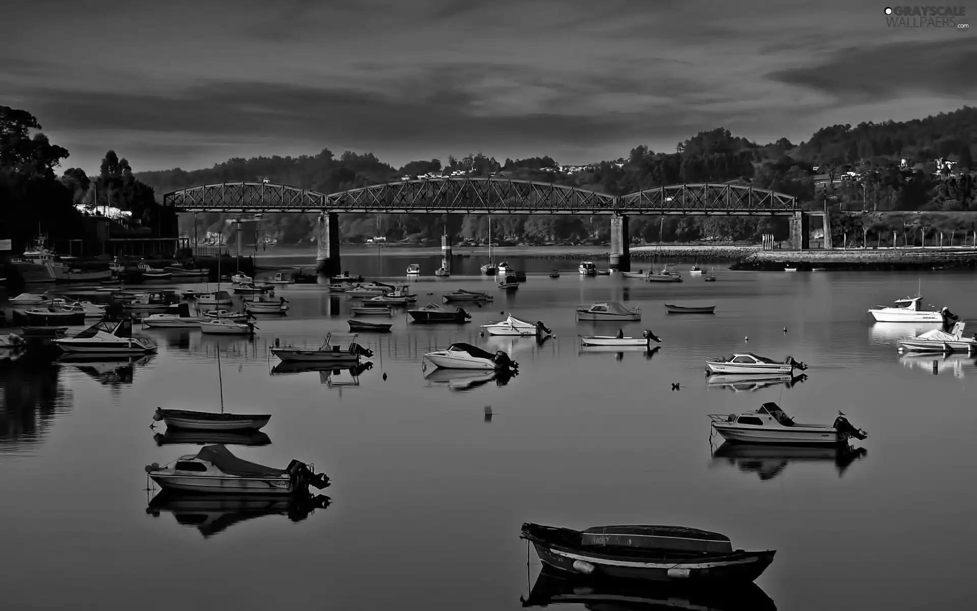 motorboat, woods, bridge, Boats, River