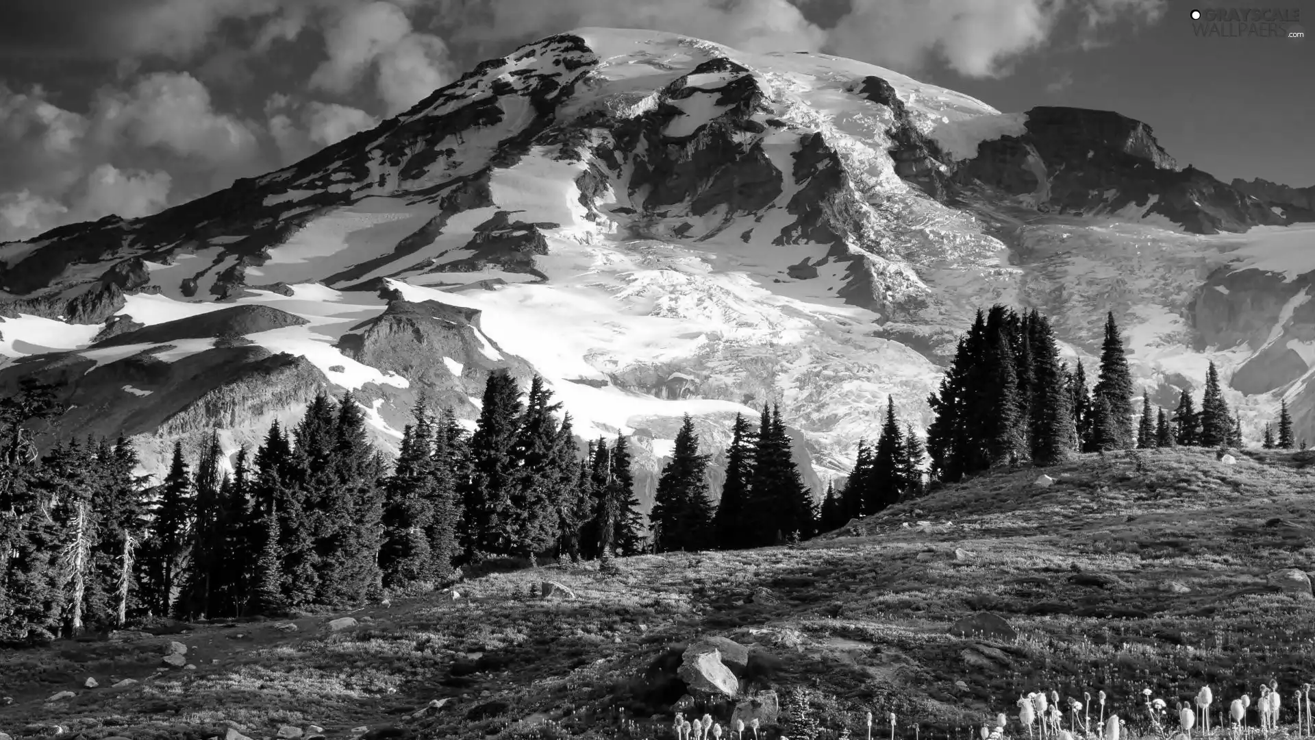 Mountain, Meadow, Snowy, peaks, dawn