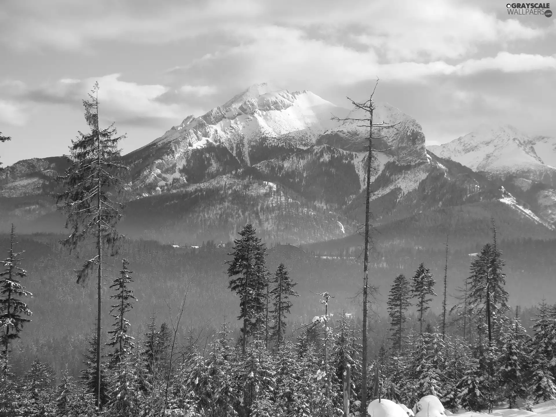 mountain, Snowy, peaks