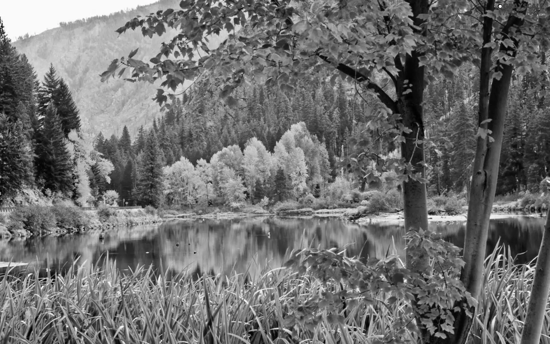 autumn, lake, Mountains, Park