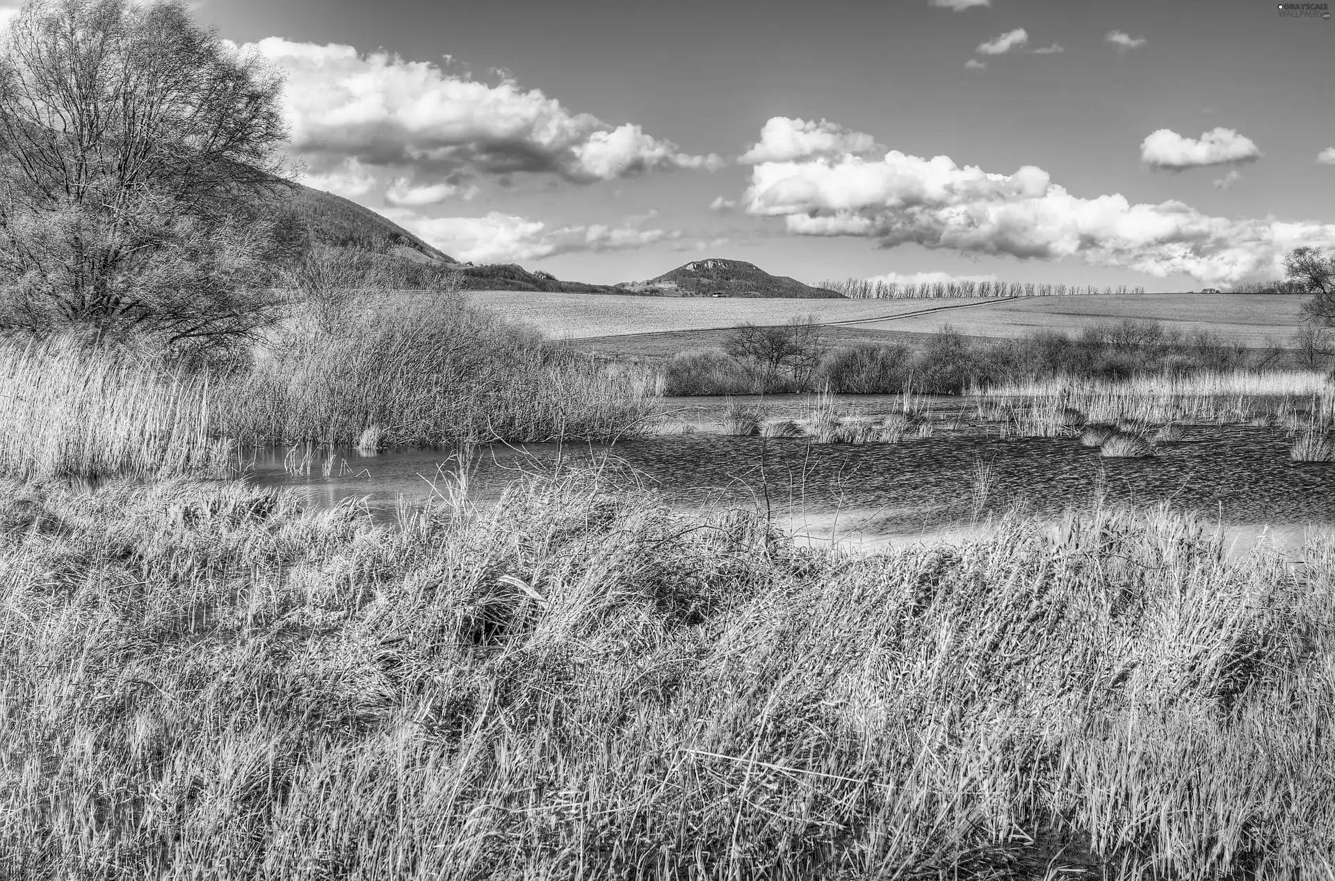 Mountains, autumn, field, medows, River