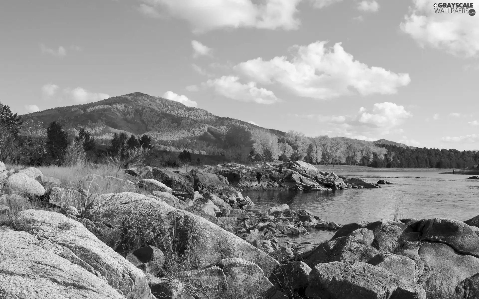 Mountains, autumn, rocks, woods, River