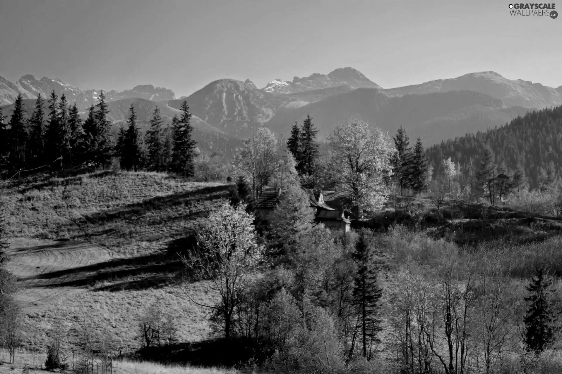 autumn, viewes, Mountains, trees