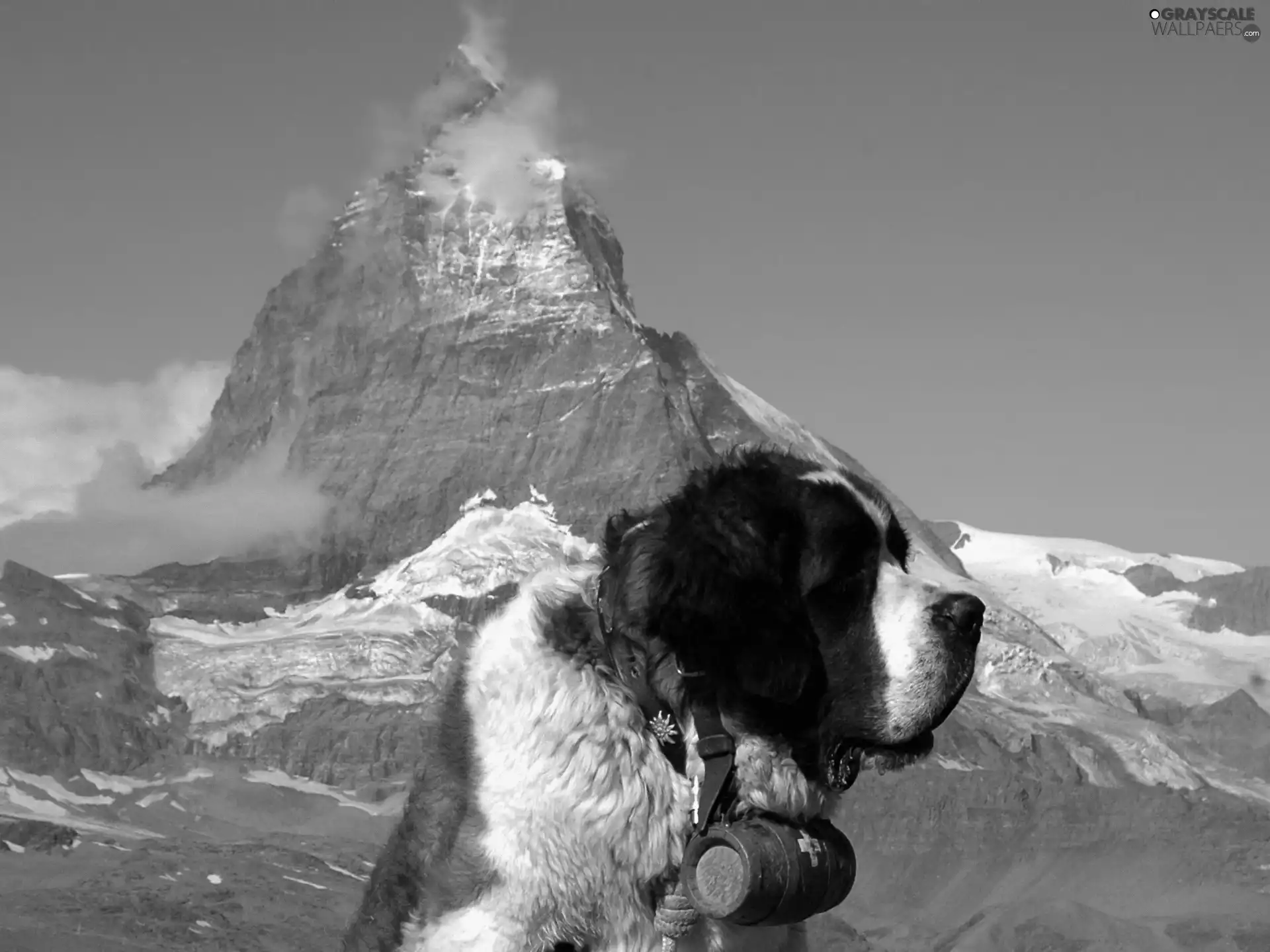 Mountains, Bernard, barrel