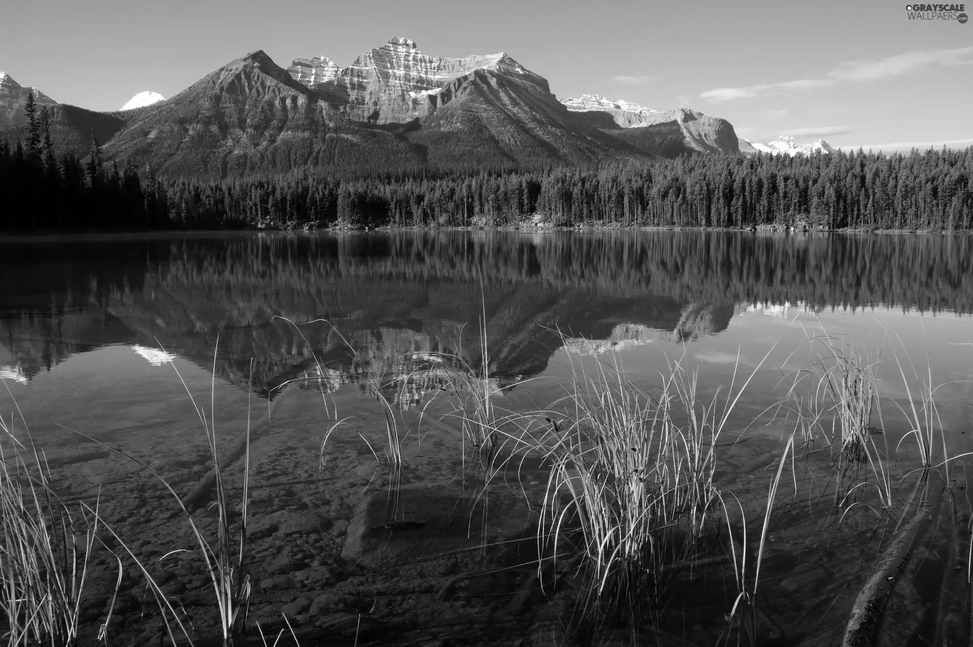 beatyfull, woods, Mountains, lake