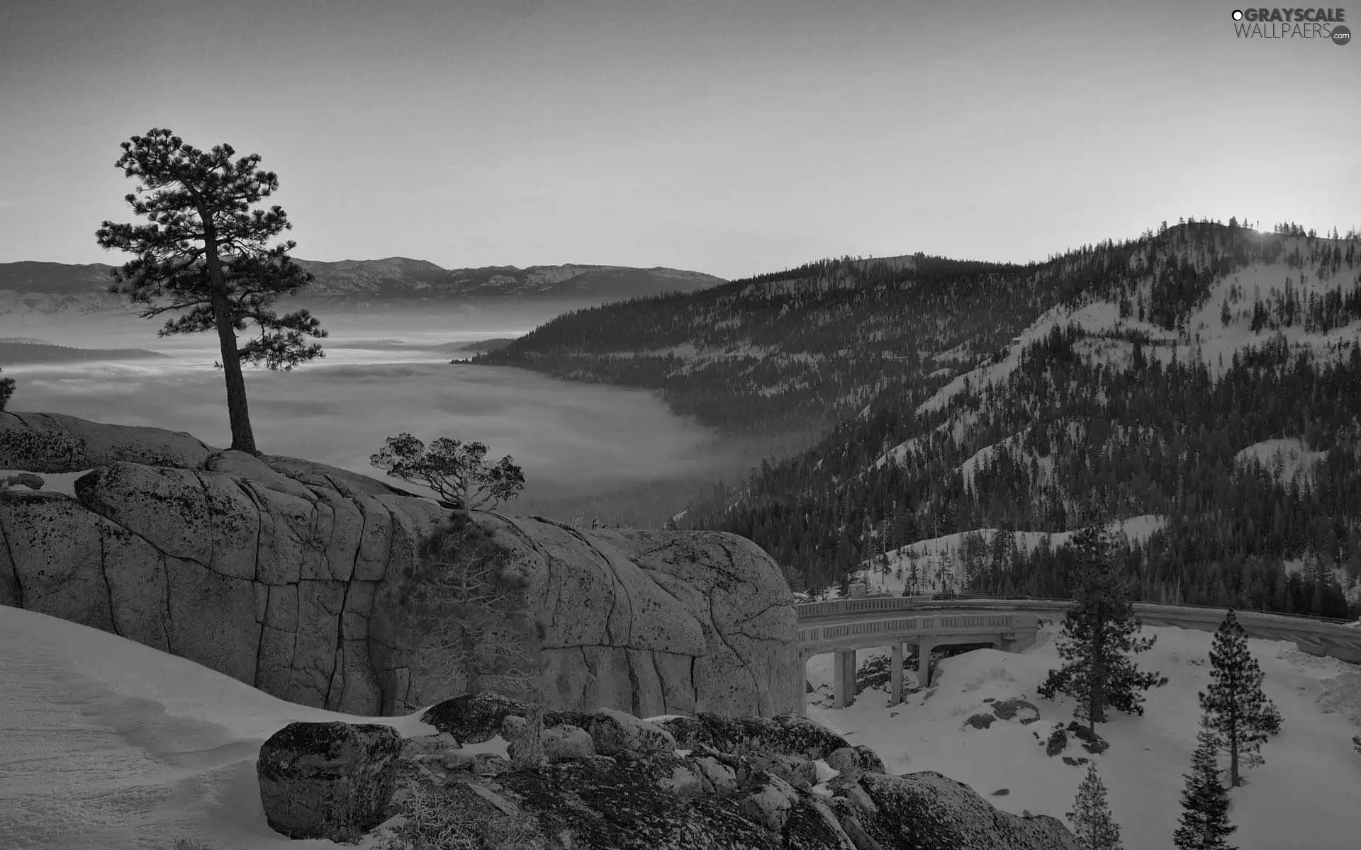 Mountains, bridges, Rocks, forested, winter