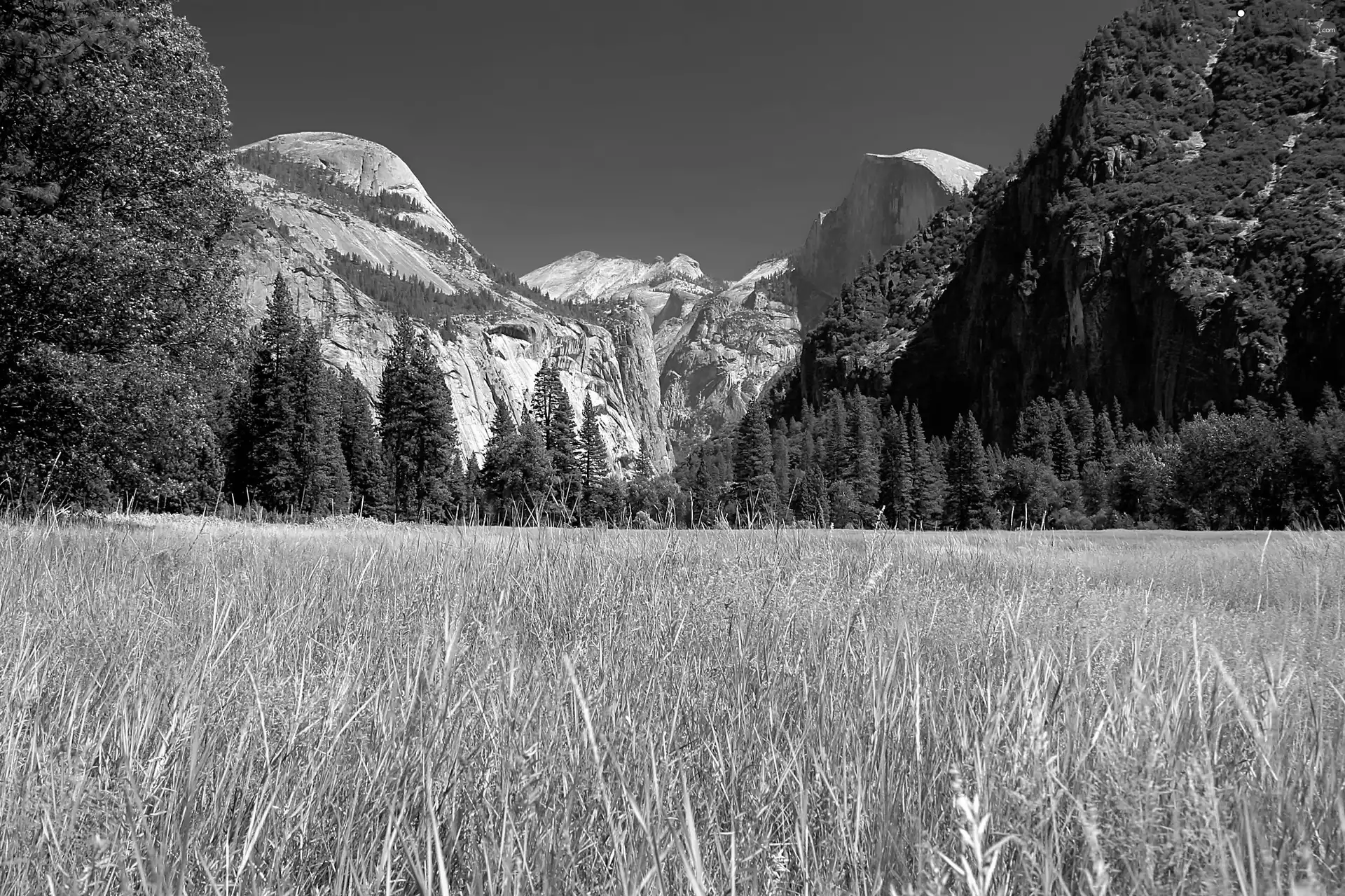 The United States, Yosemite National Park, Mountains, State of California