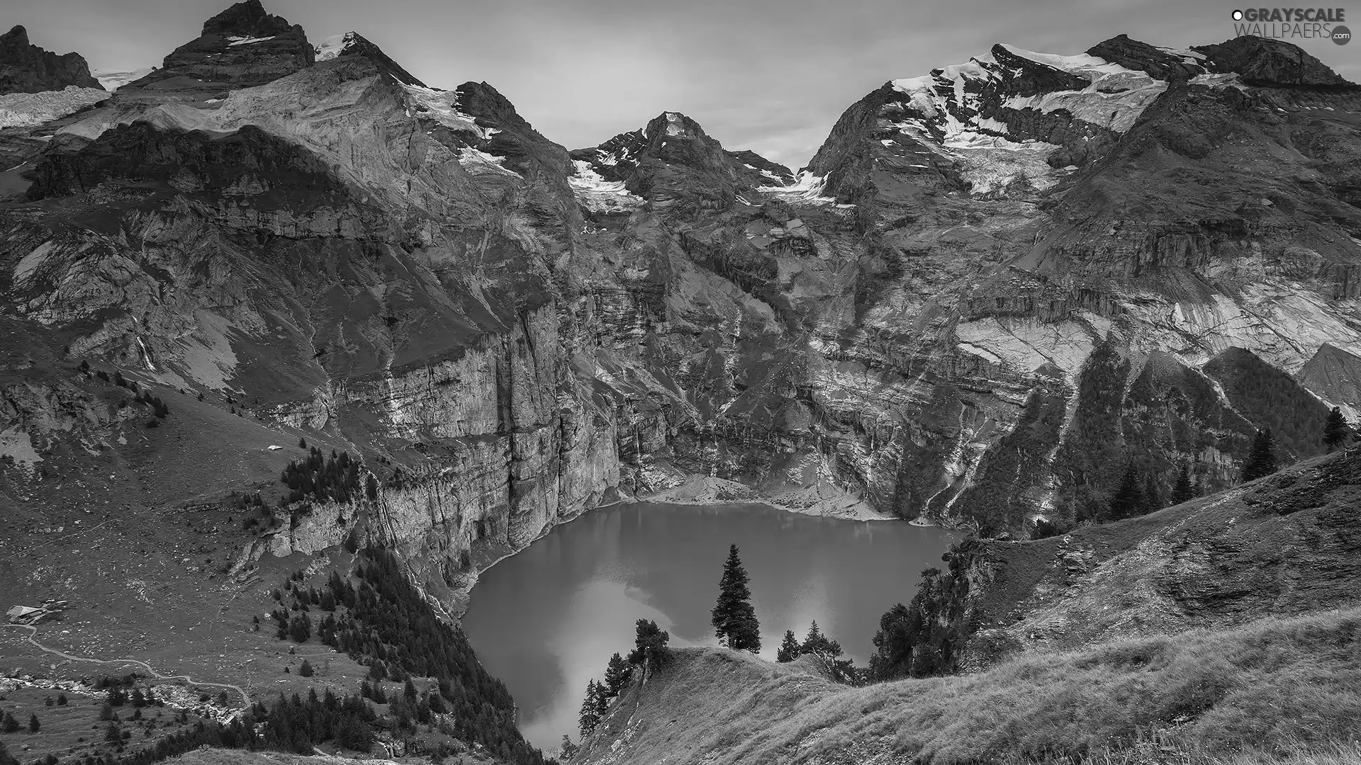 Bernese Alps, Canton of Bern, VEGETATION, Oeschinen Lake, viewes, Mountains, Switzerland, trees
