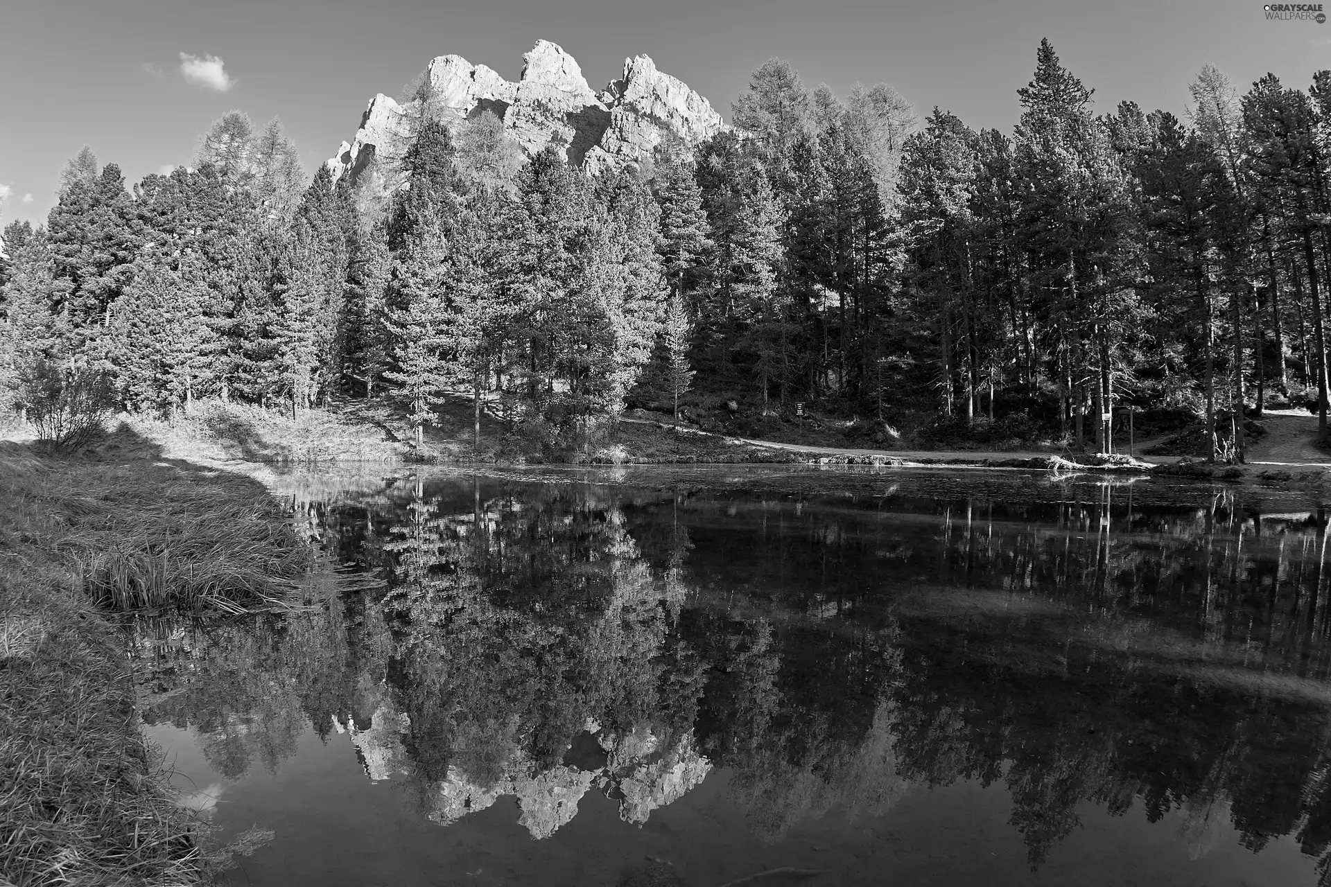 viewes, lake, Sky, trees, forest, Mountains, Cloud