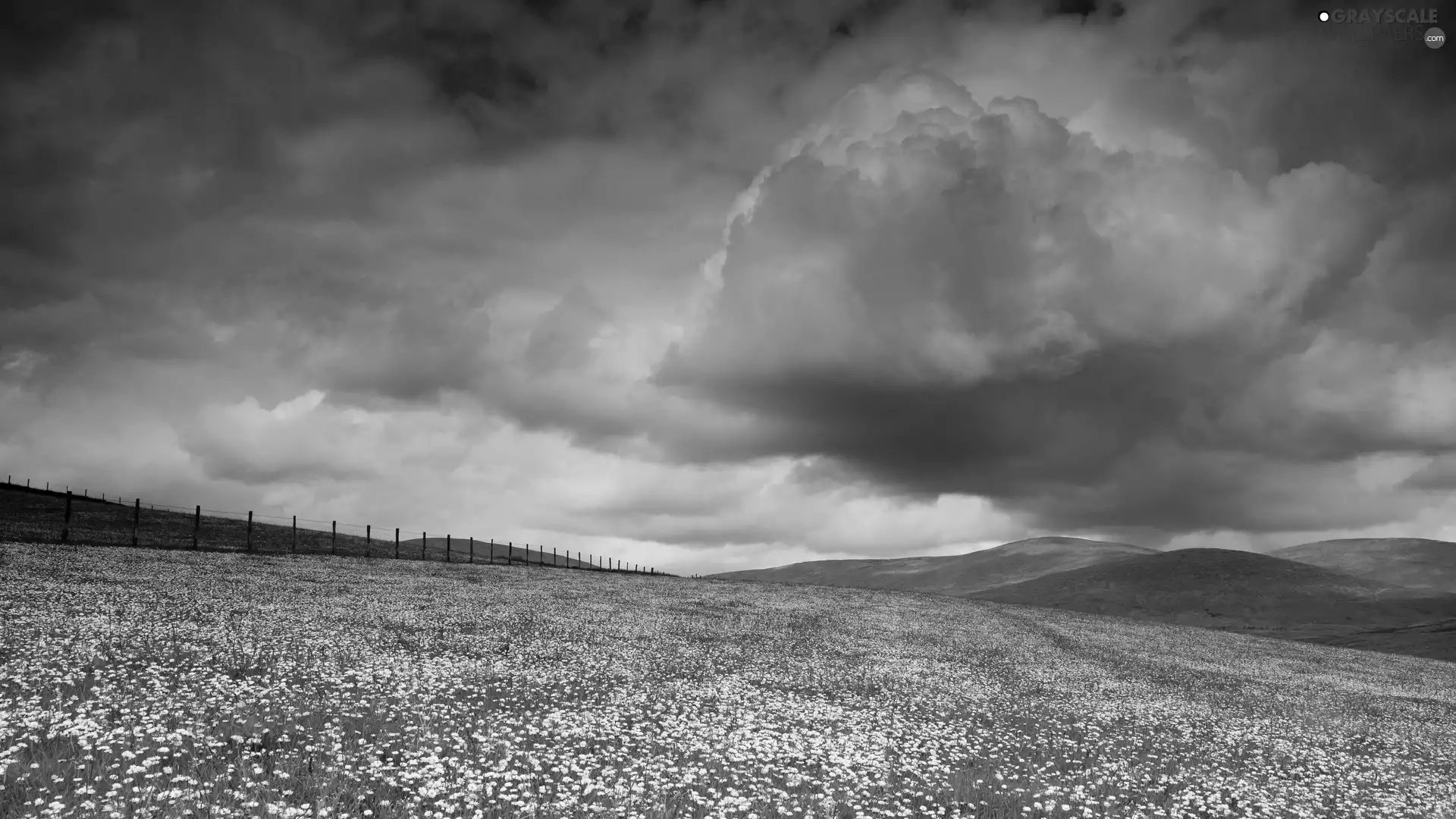 Mountains, medows, clouds