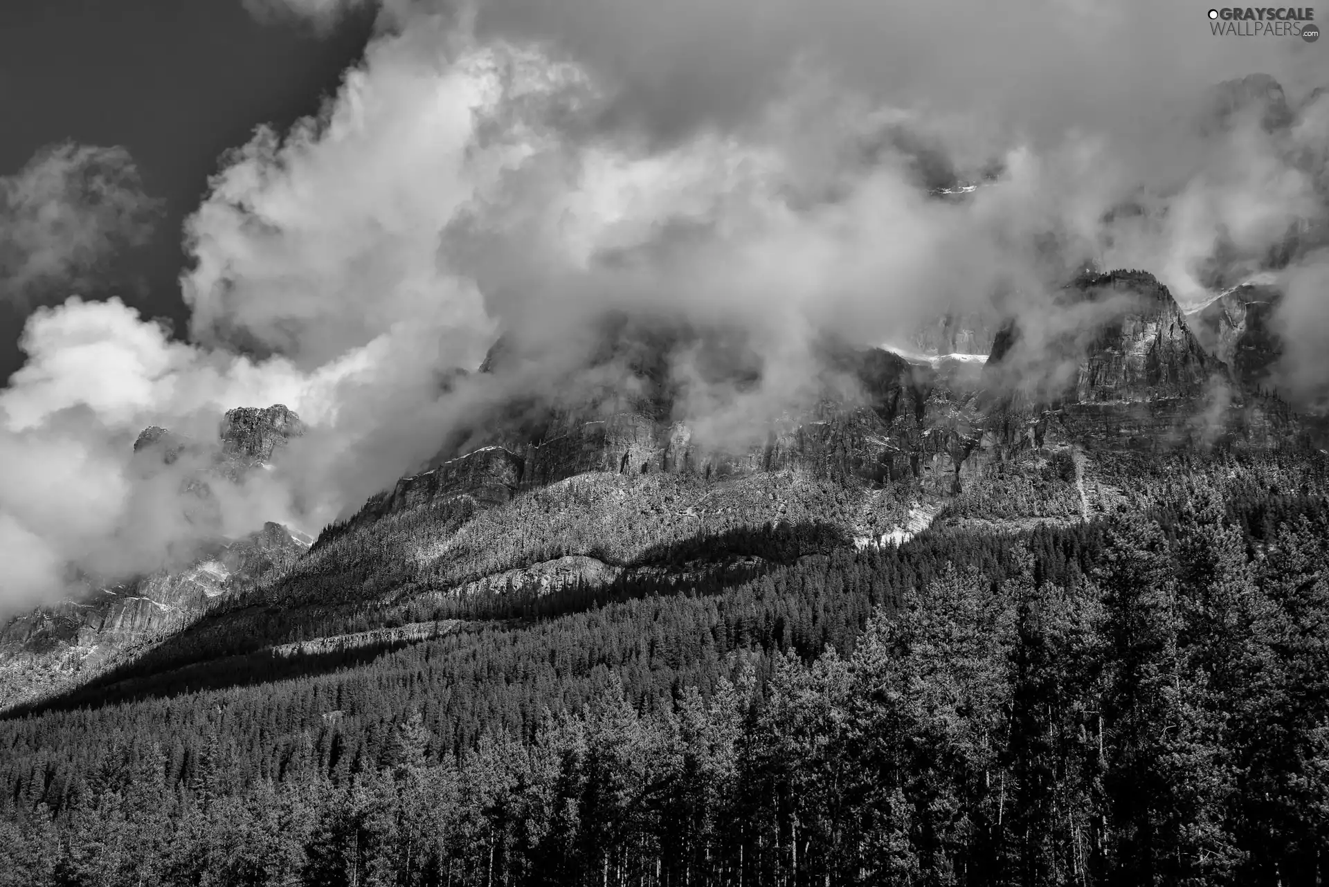 forest, Mountains, clouds, light breaking through sky