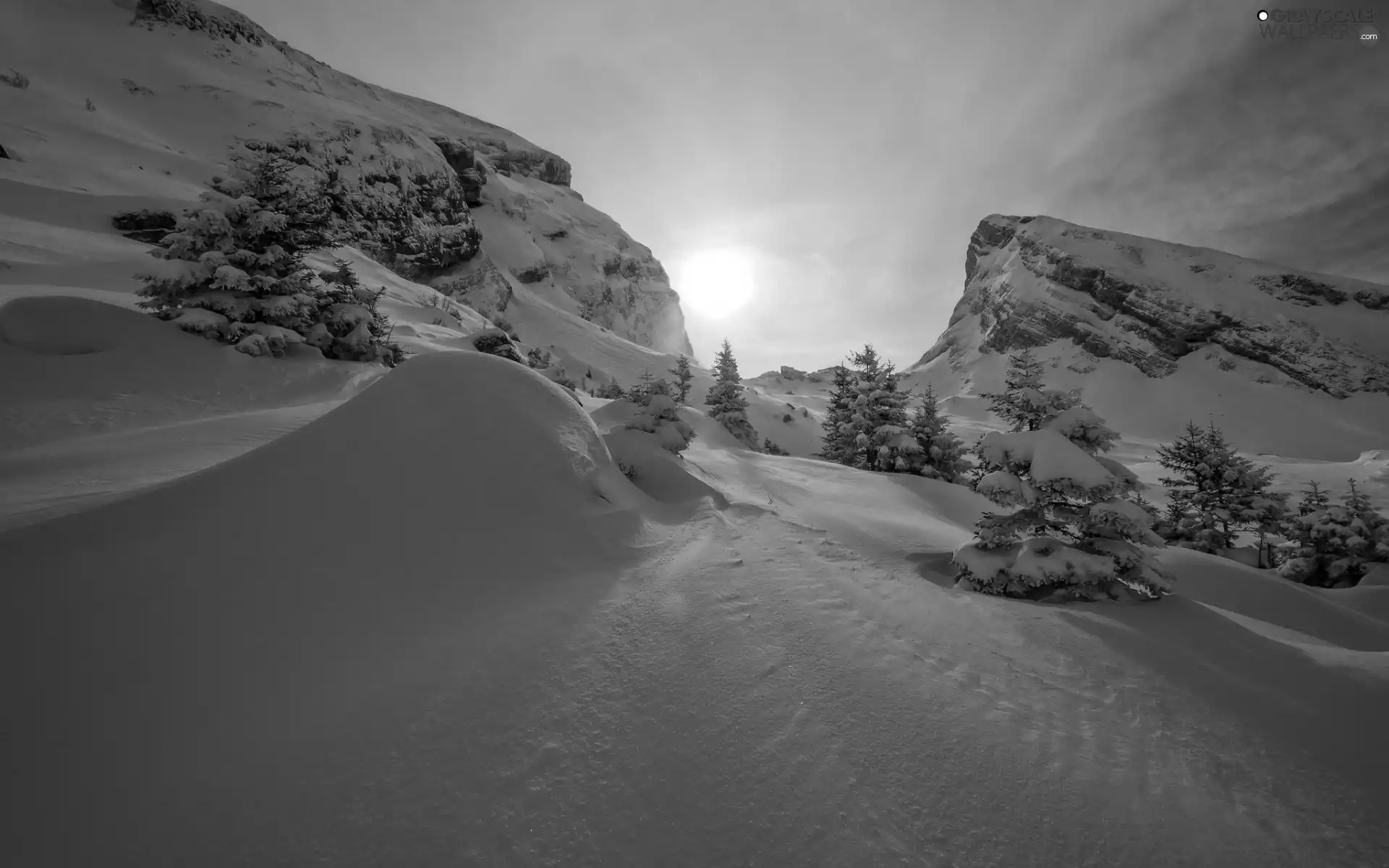 trees, snow, drifts, Mountains, winter, viewes, Sunrise