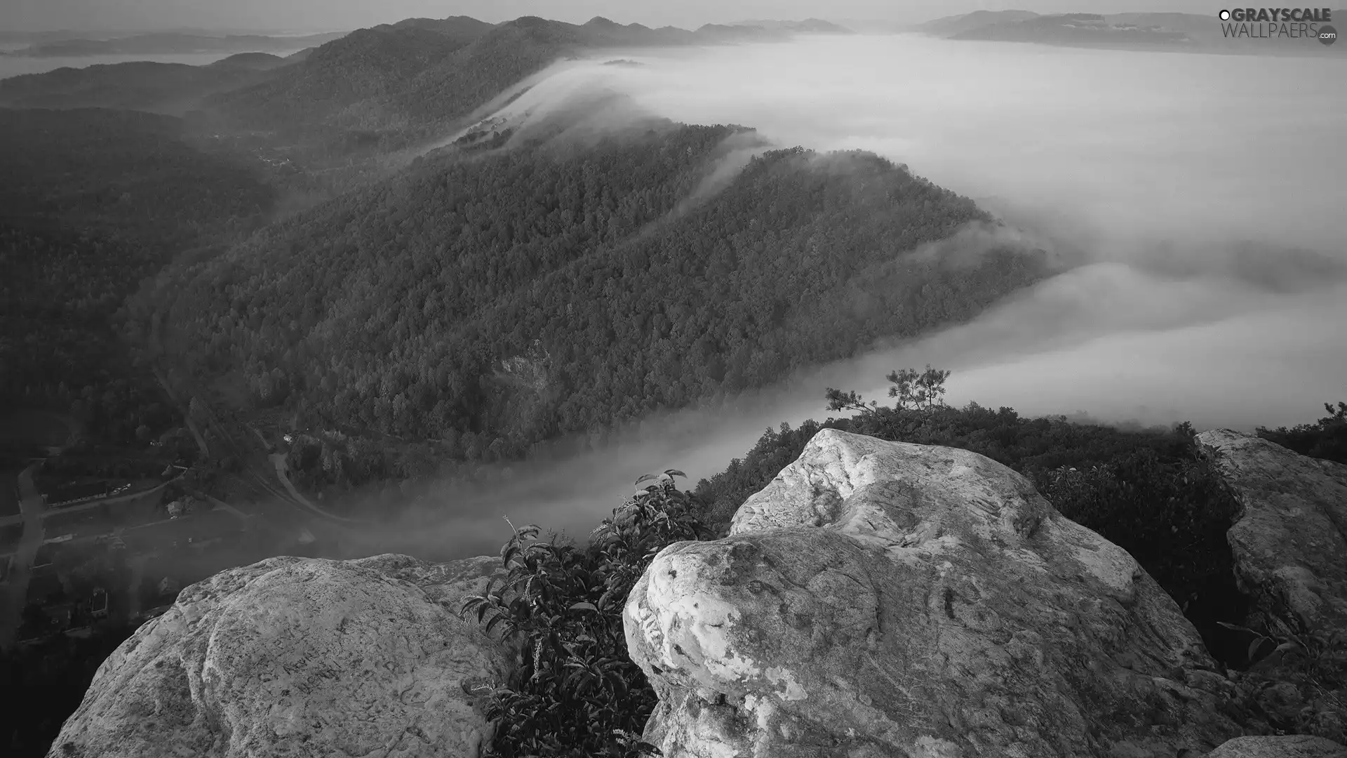 Fog, rocks, Mountains, forest