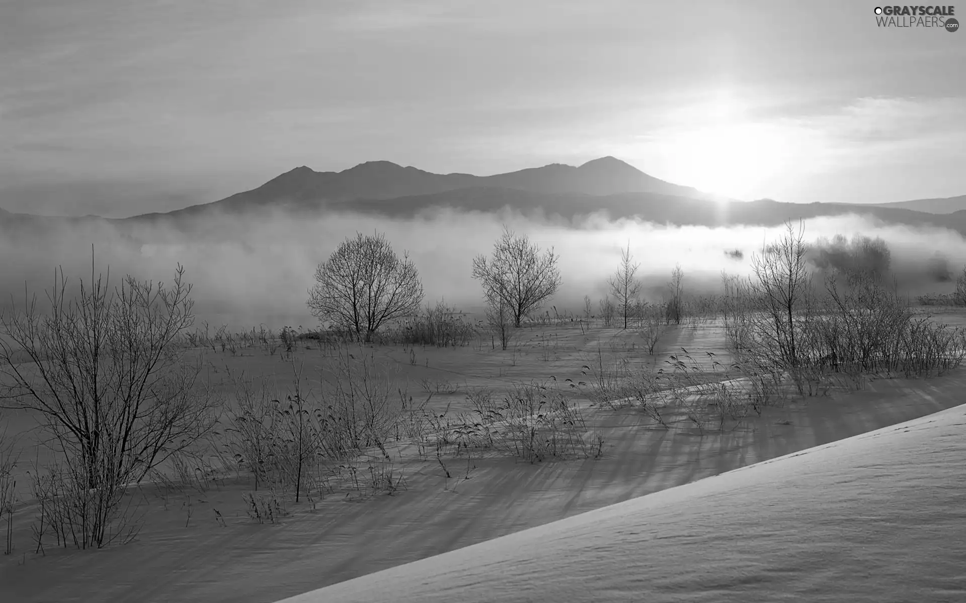 Mountains, winter, Fog