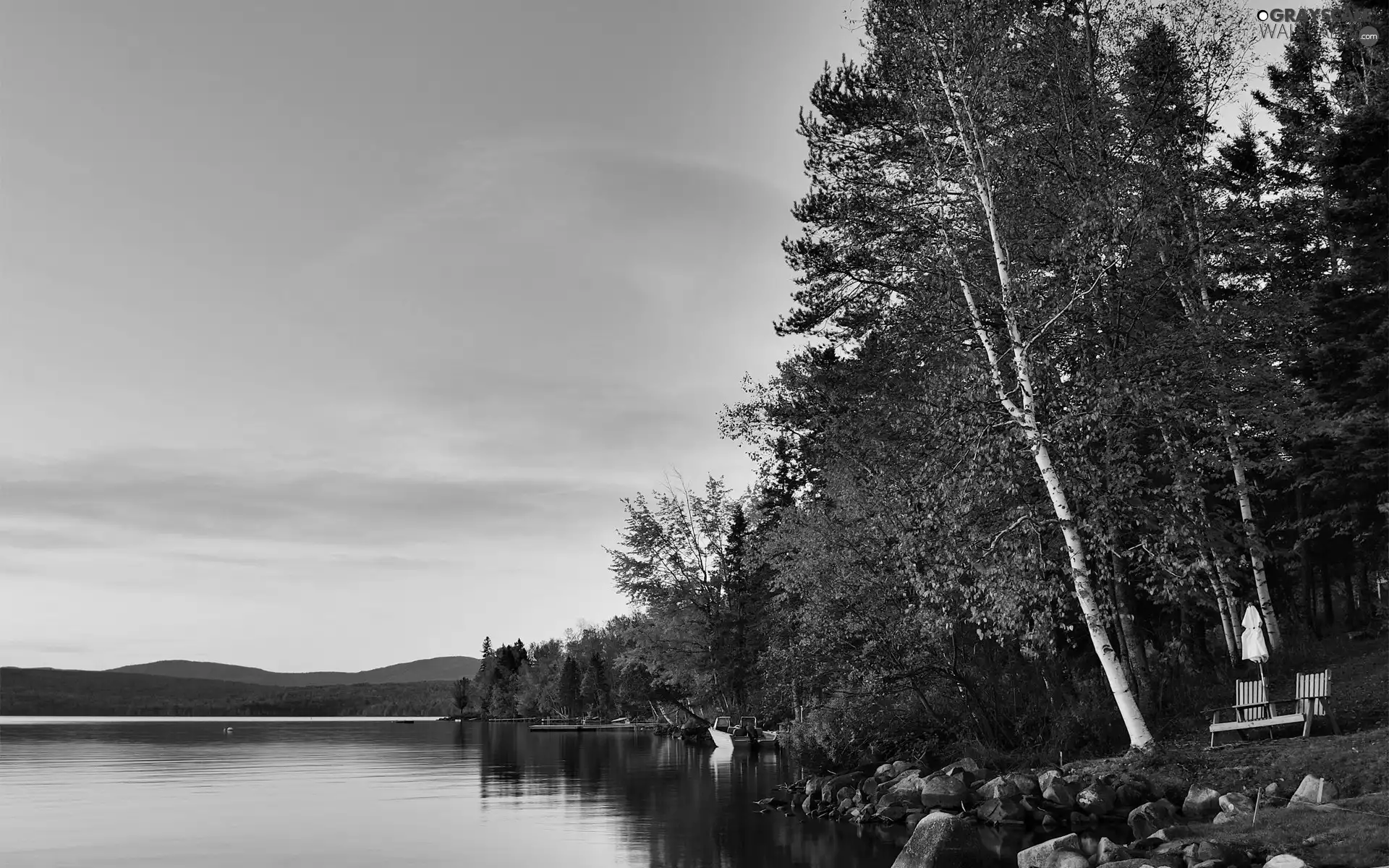 Mountains, lake, forest