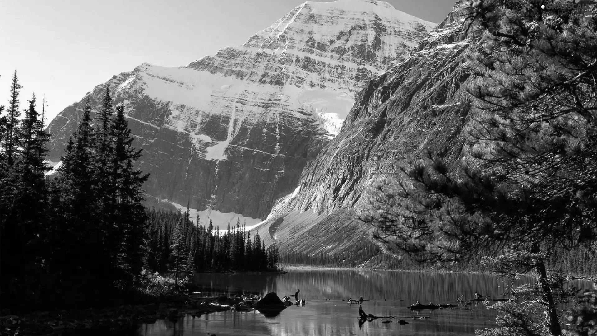 Mountains, lake, forest