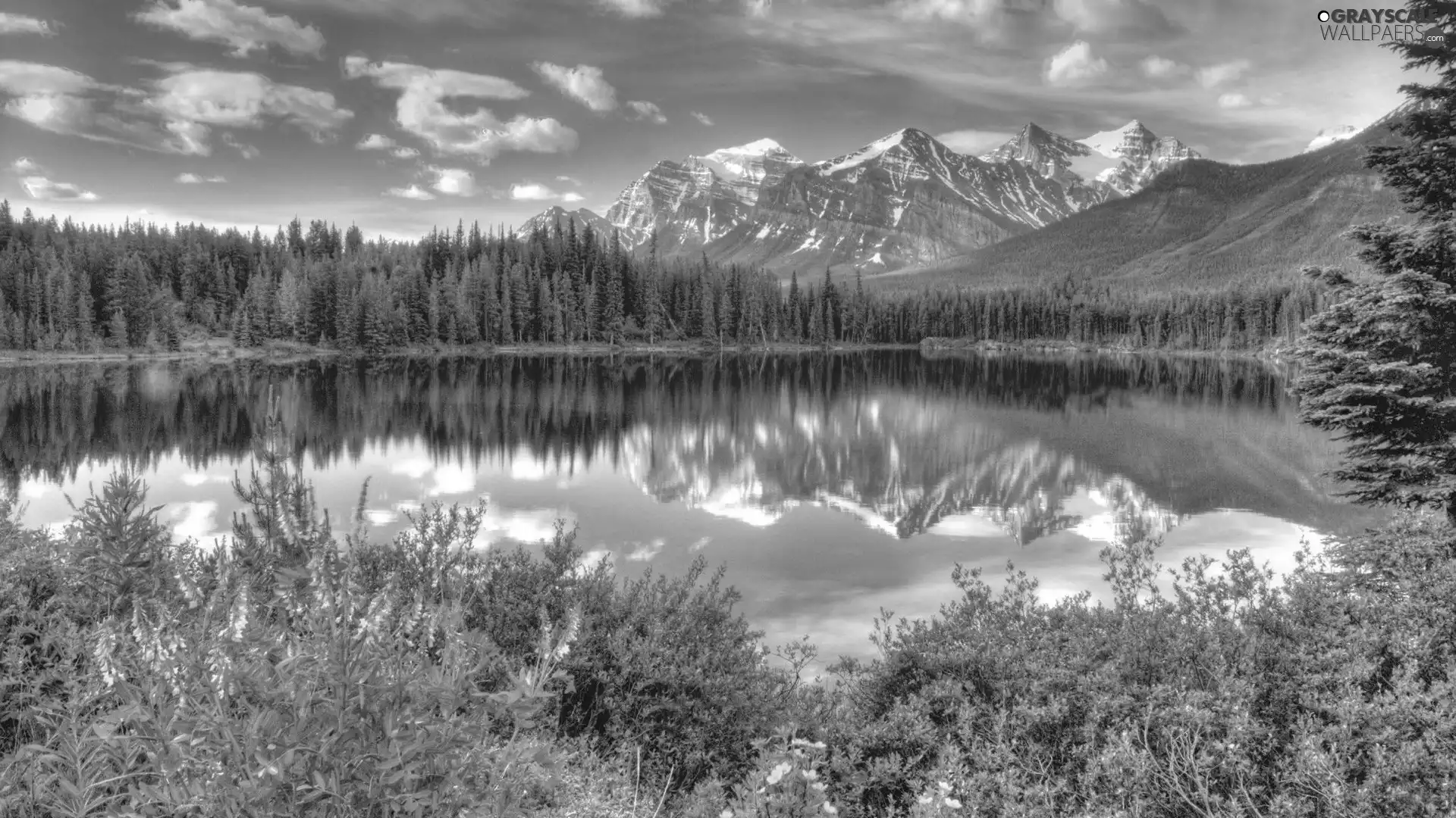 Mountains, lake, forest