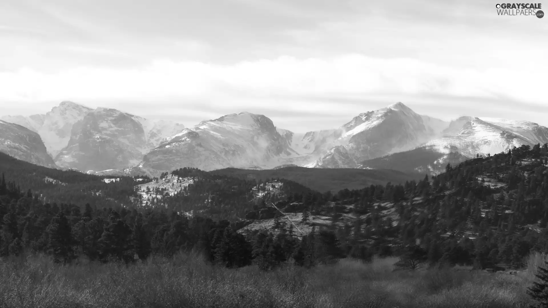 Mountains, Meadow, forest