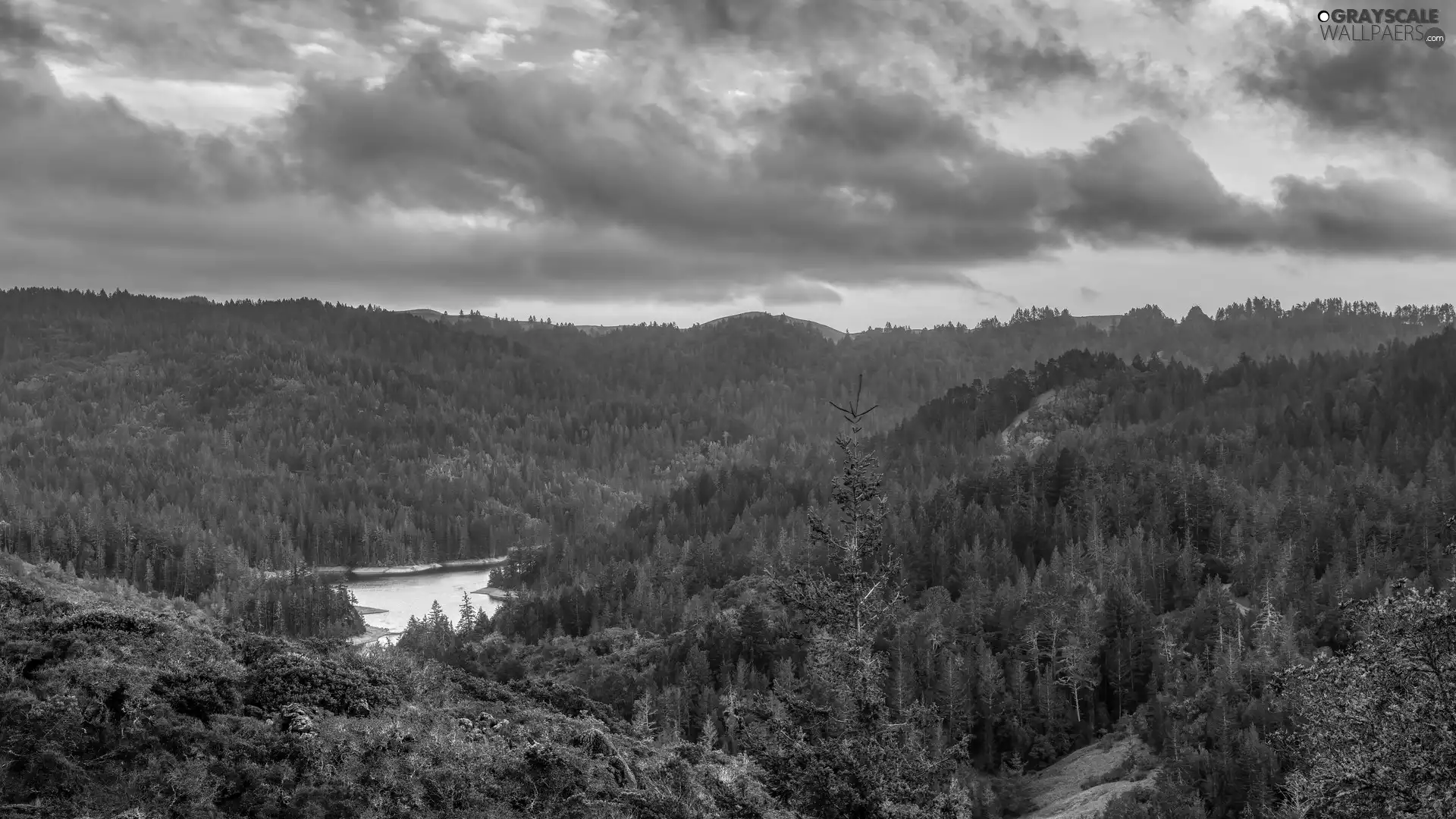 The Hills, forested, Great Sunsets, clouds, lake, Mountains