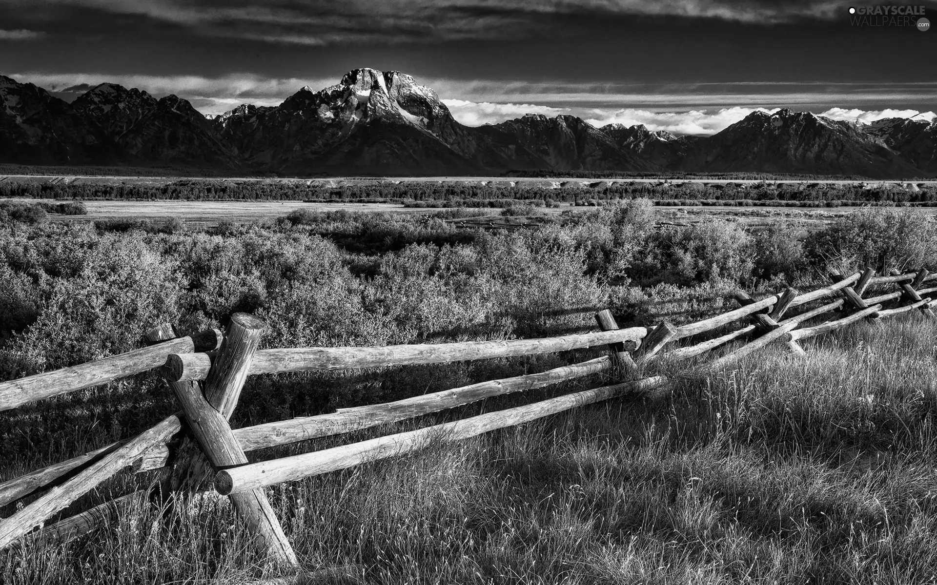 grass, fence, Mountains, Bush