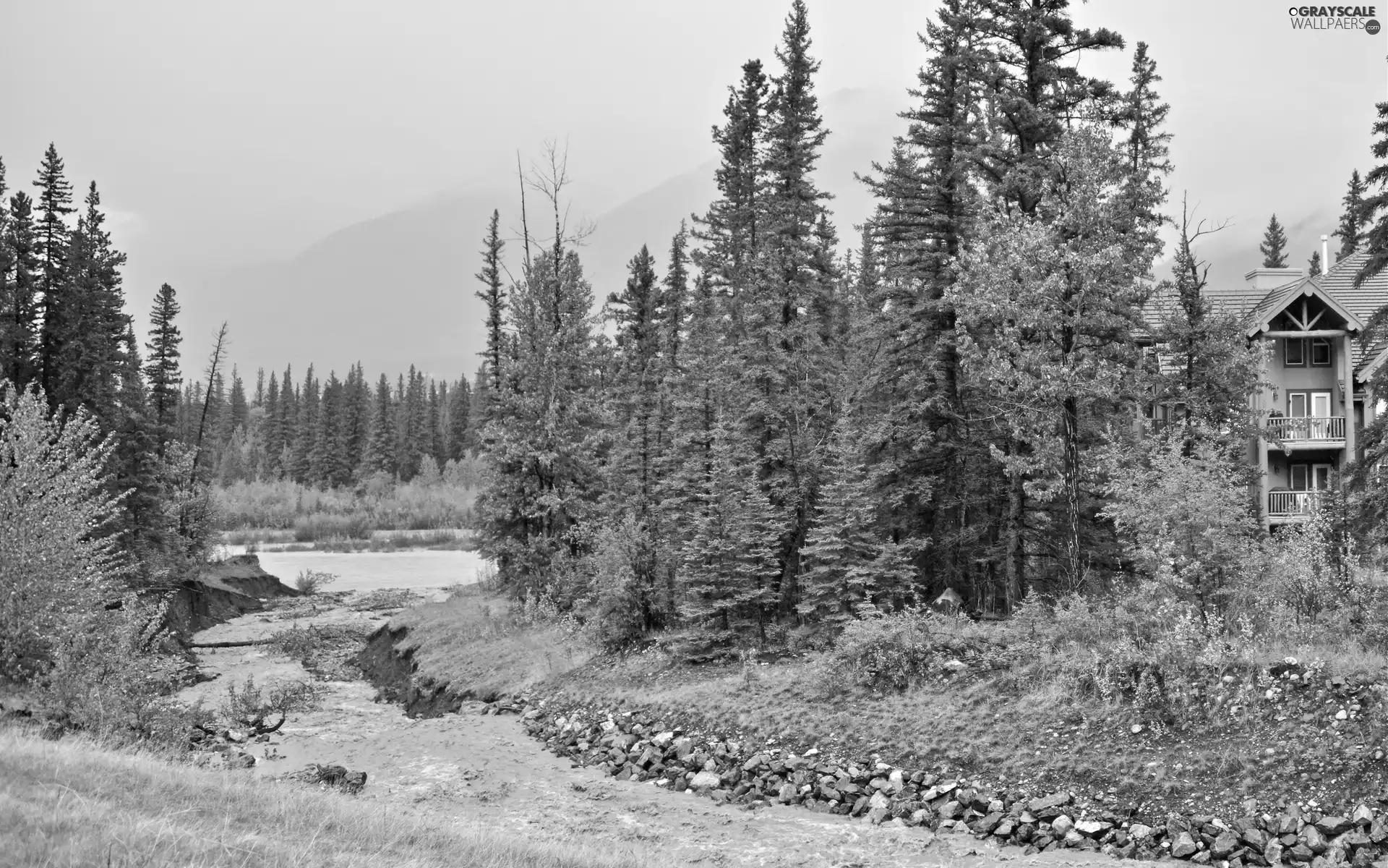 Mountains, house, stream, Stones, forest