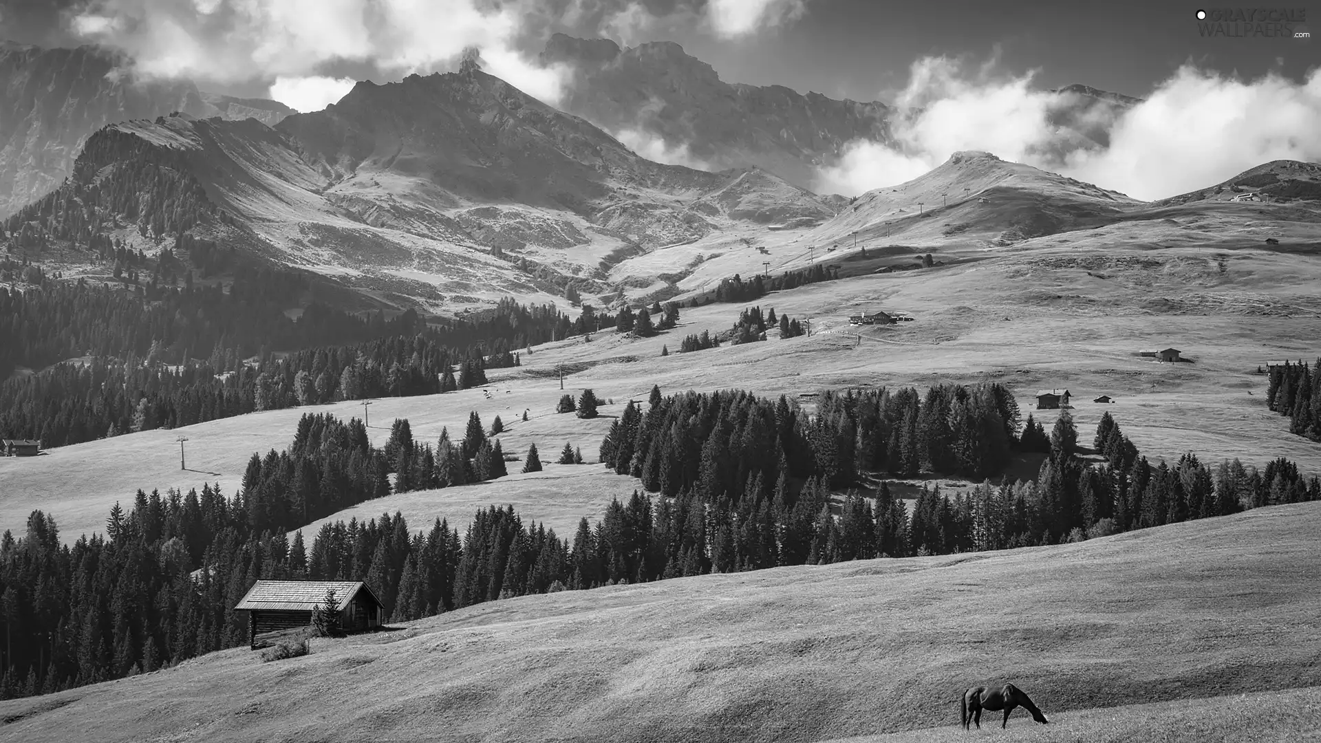 trees, Horse, Houses, The Hills, Meadow, viewes, Mountains