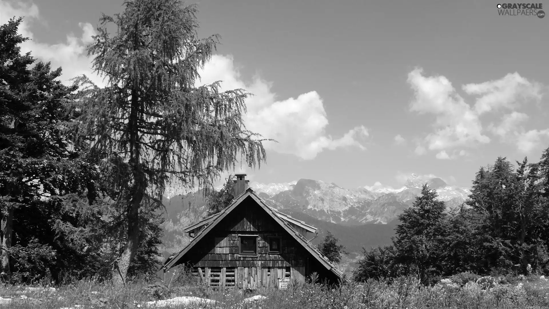hut, viewes, Mountains, trees