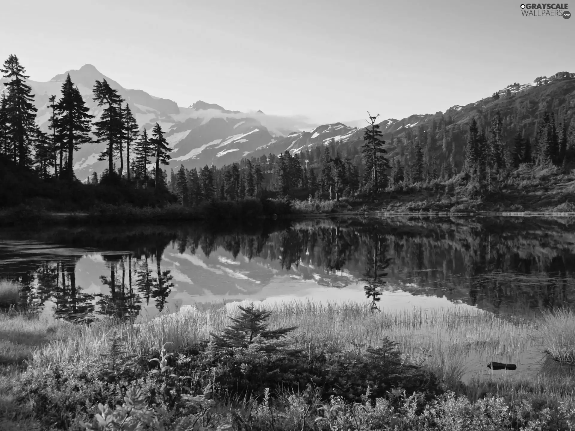 lake, viewes, Mountains, trees