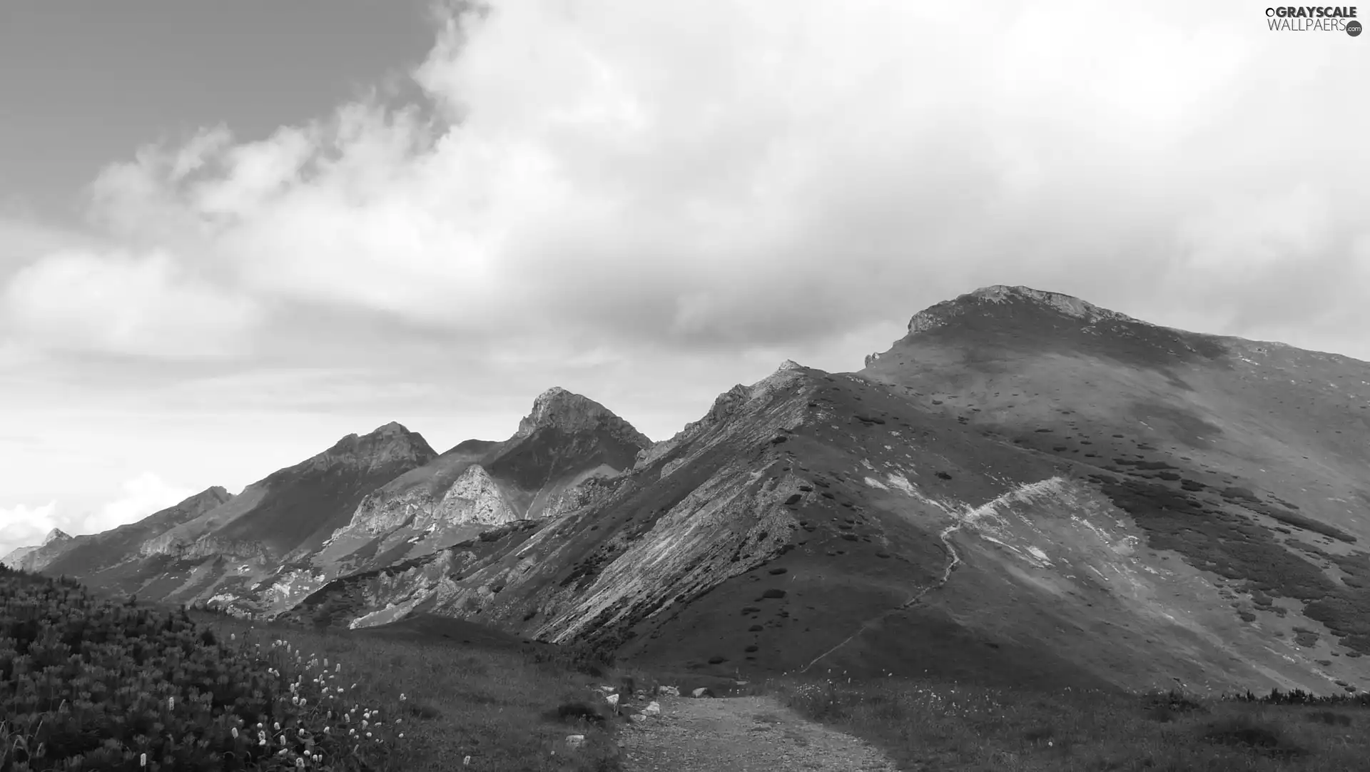 Mountains, Way, Meadow