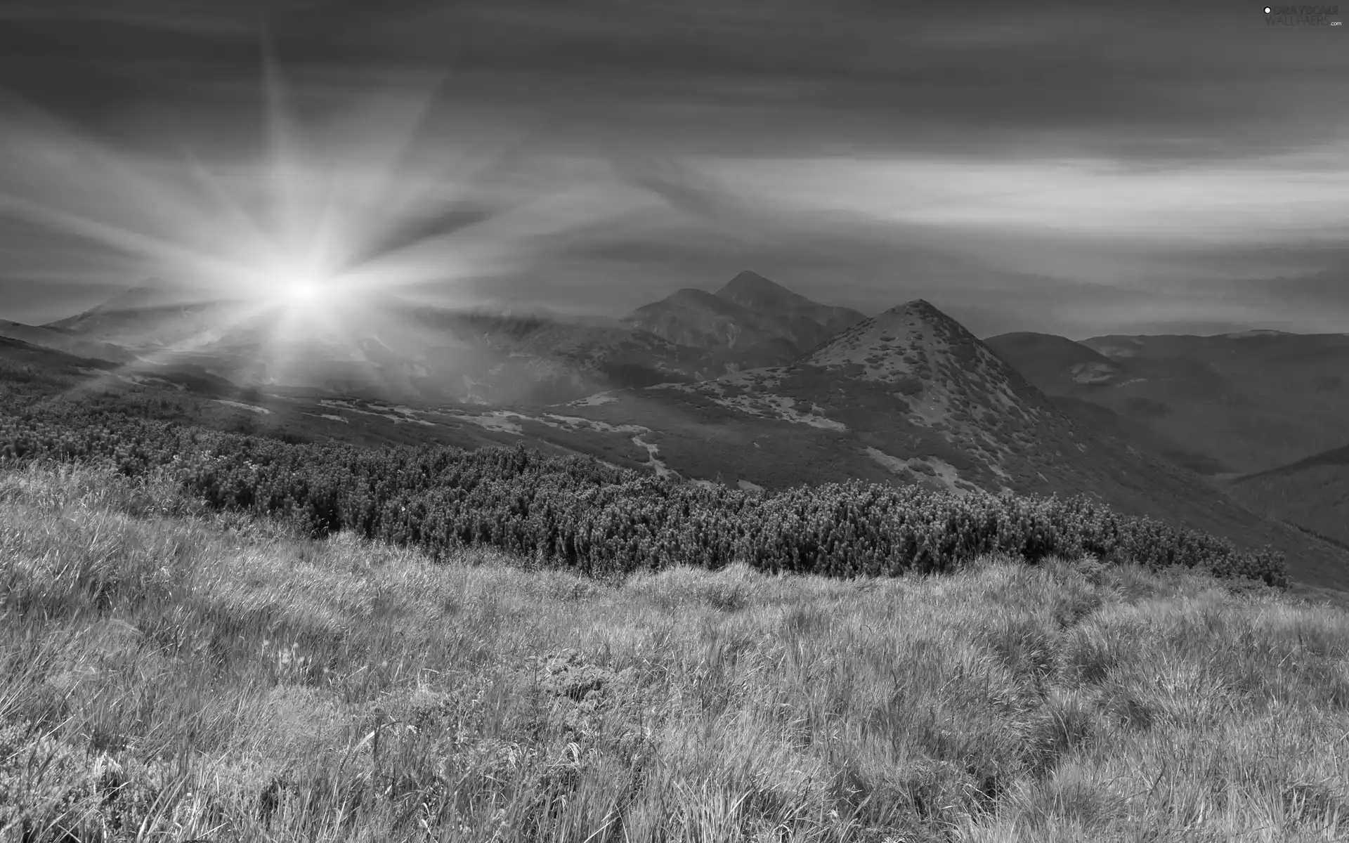 Mountains, Meadow, sun, rays, west