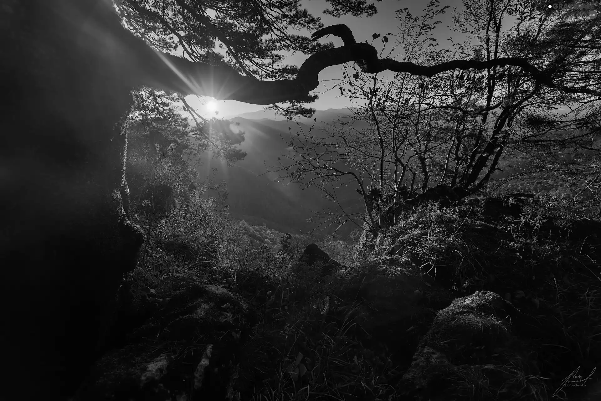 Mountains, The Hills, trees, viewes, rays of the Sun