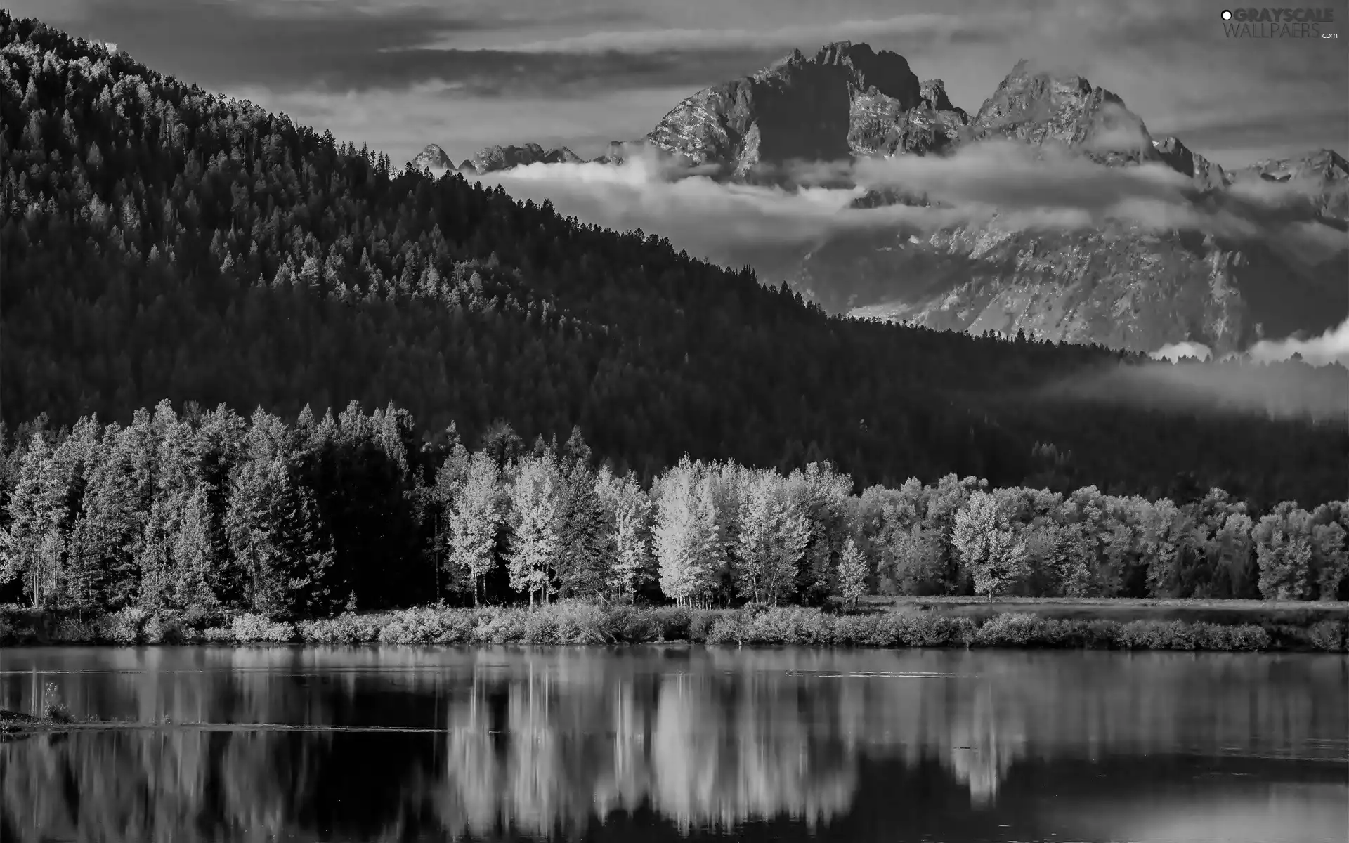 Mountains, reflection, forest, lake, autumn