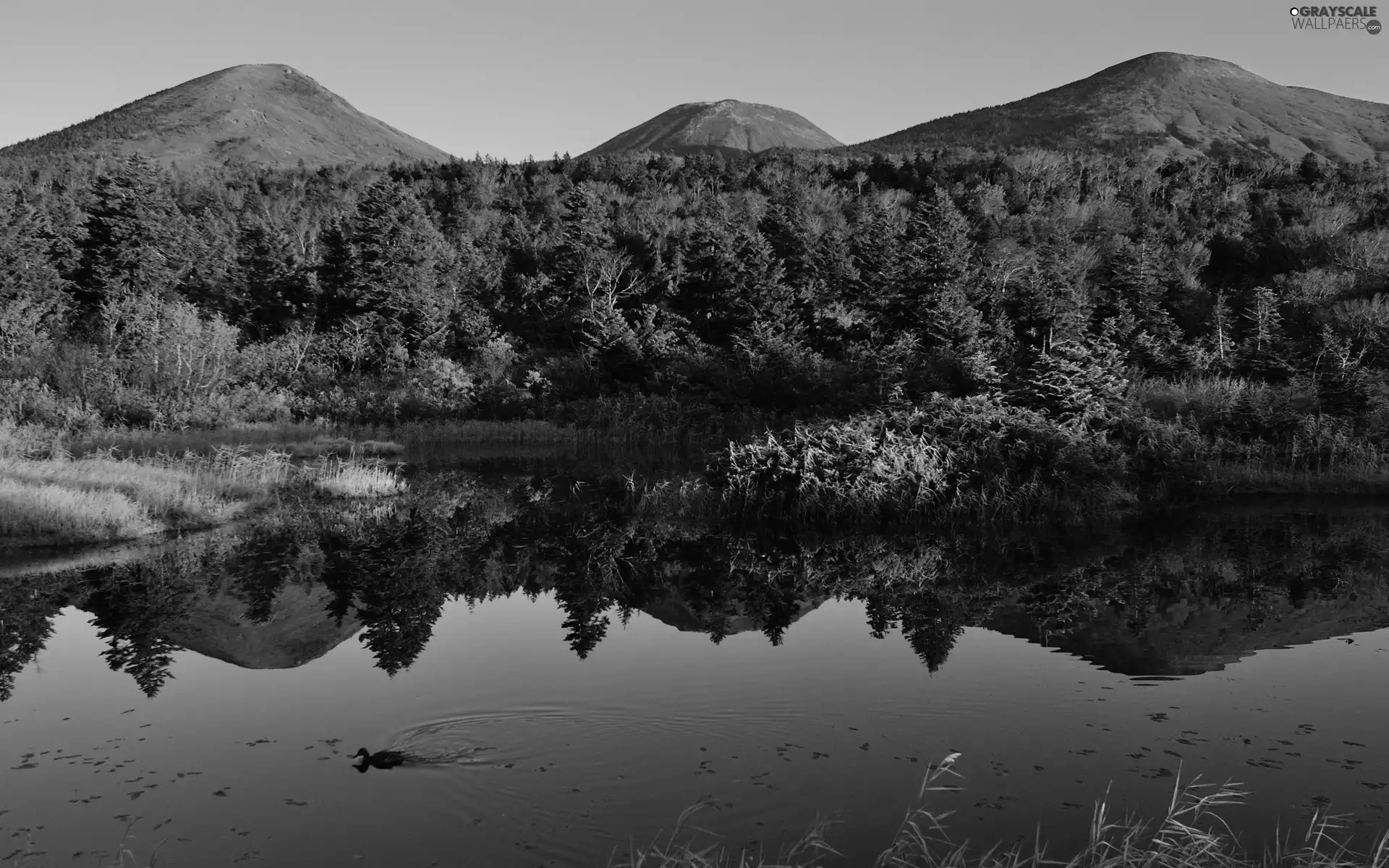 Mountains, lake, reflection