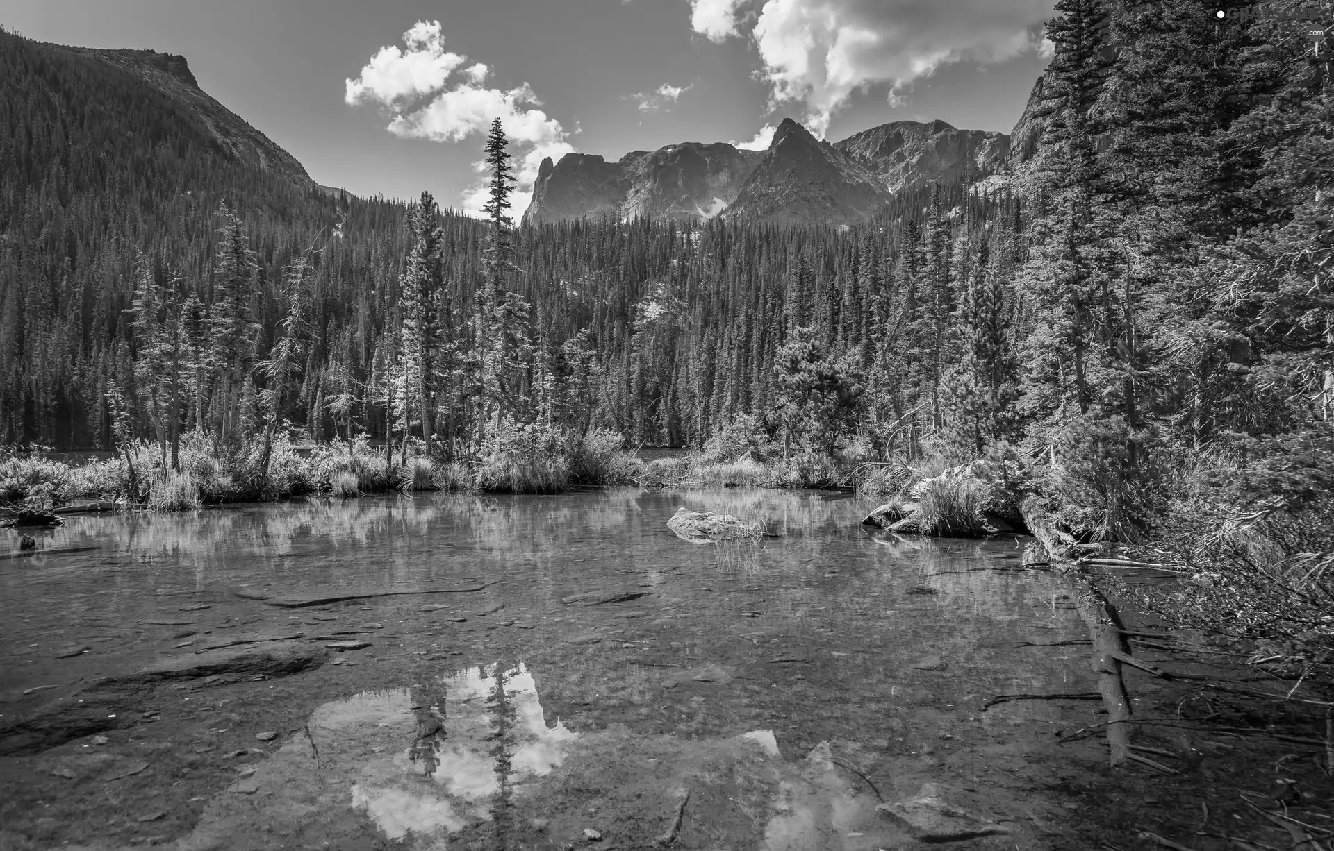 trees, lake, Mountains, reflection, viewes, forest