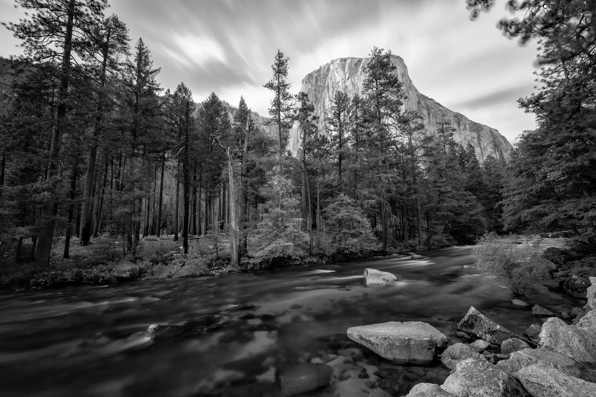 River, forest, mountains, Stones