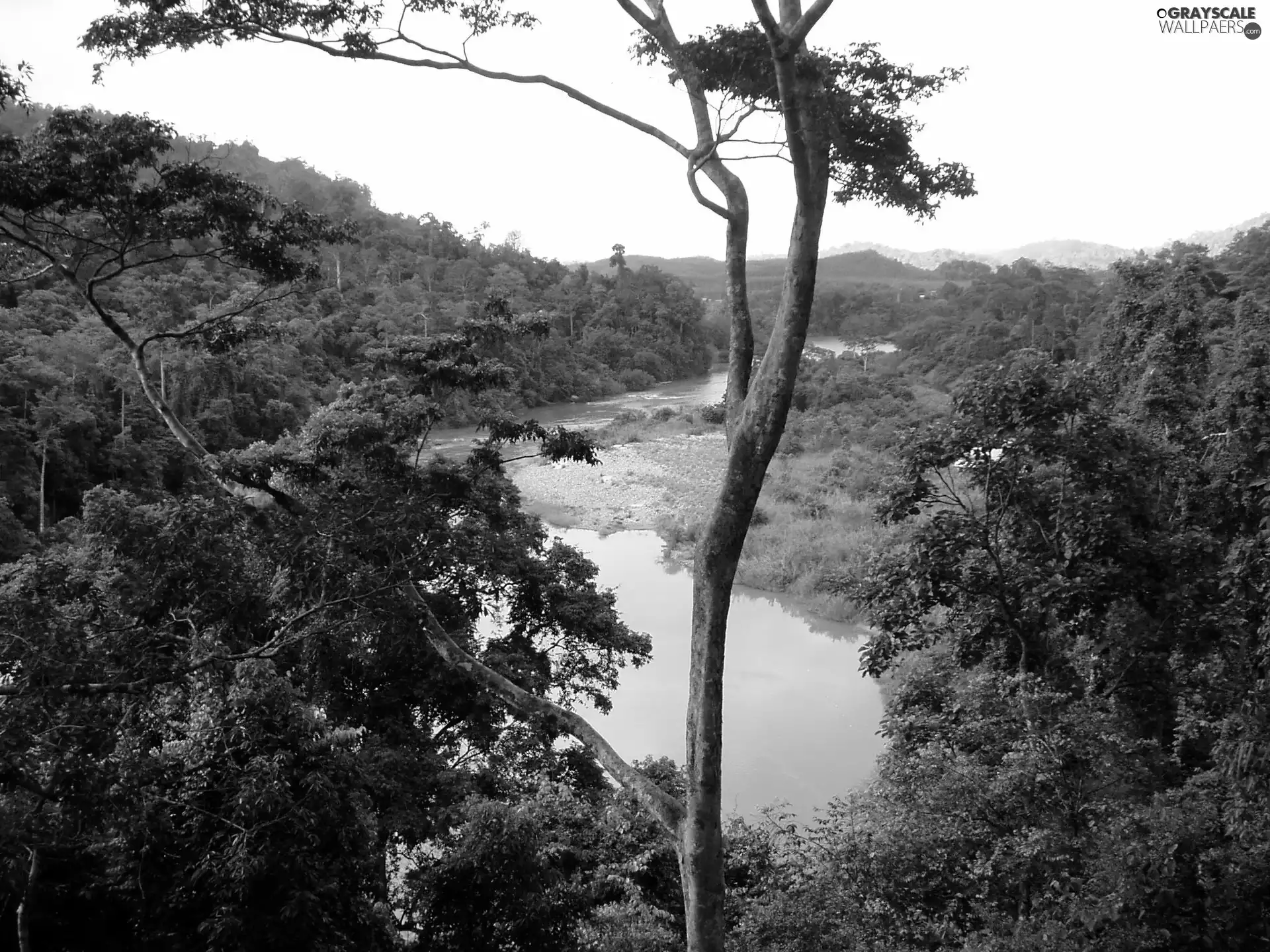 River, viewes, Mountains, trees