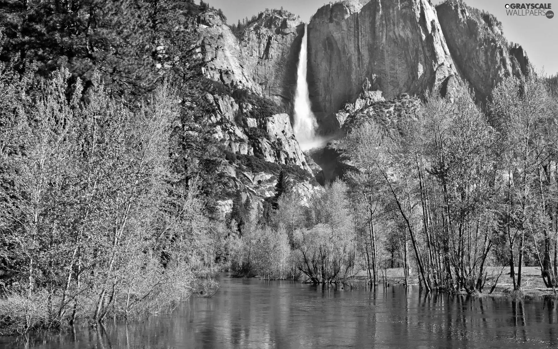 River, viewes, Mountains, trees