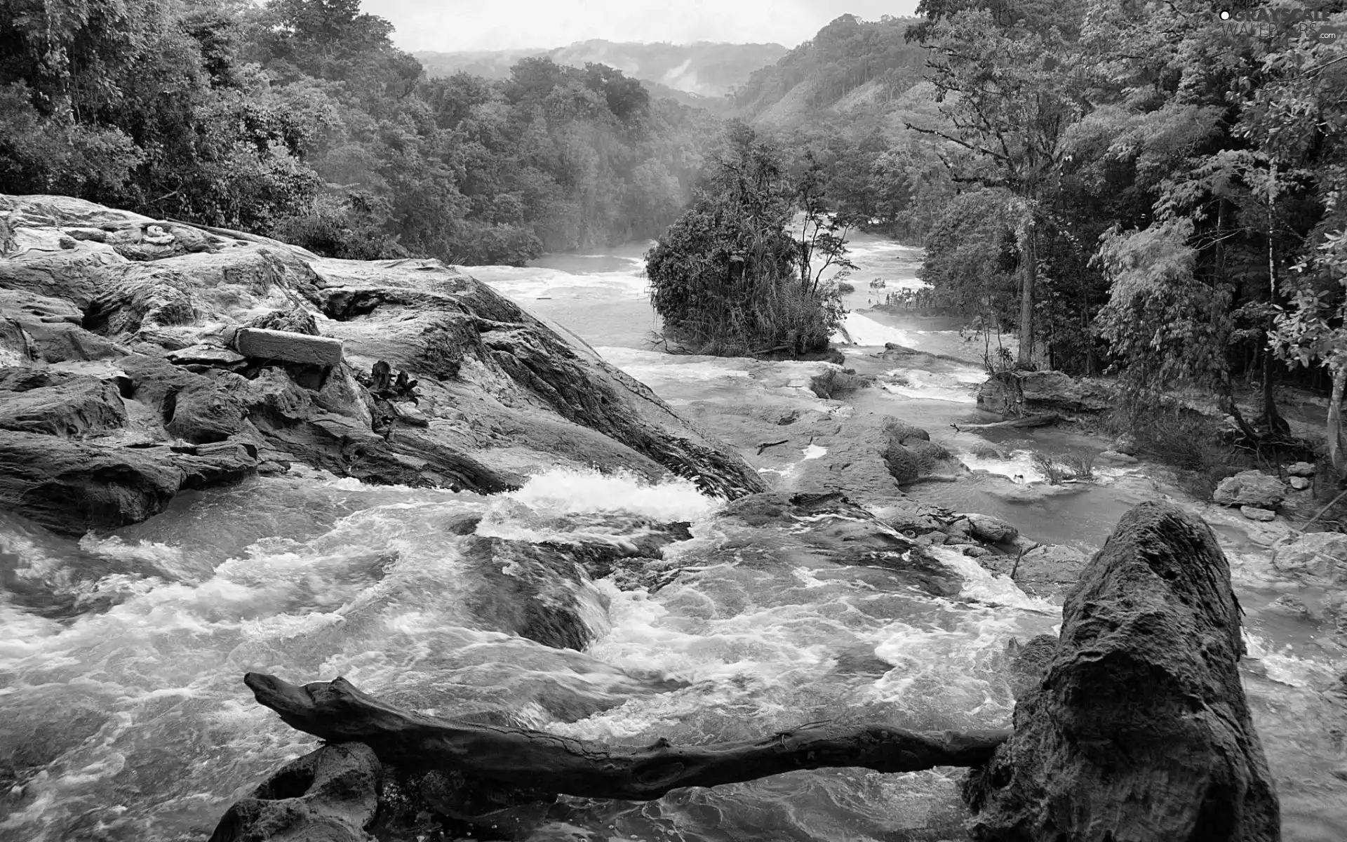 River, woods, Mountains, rocks