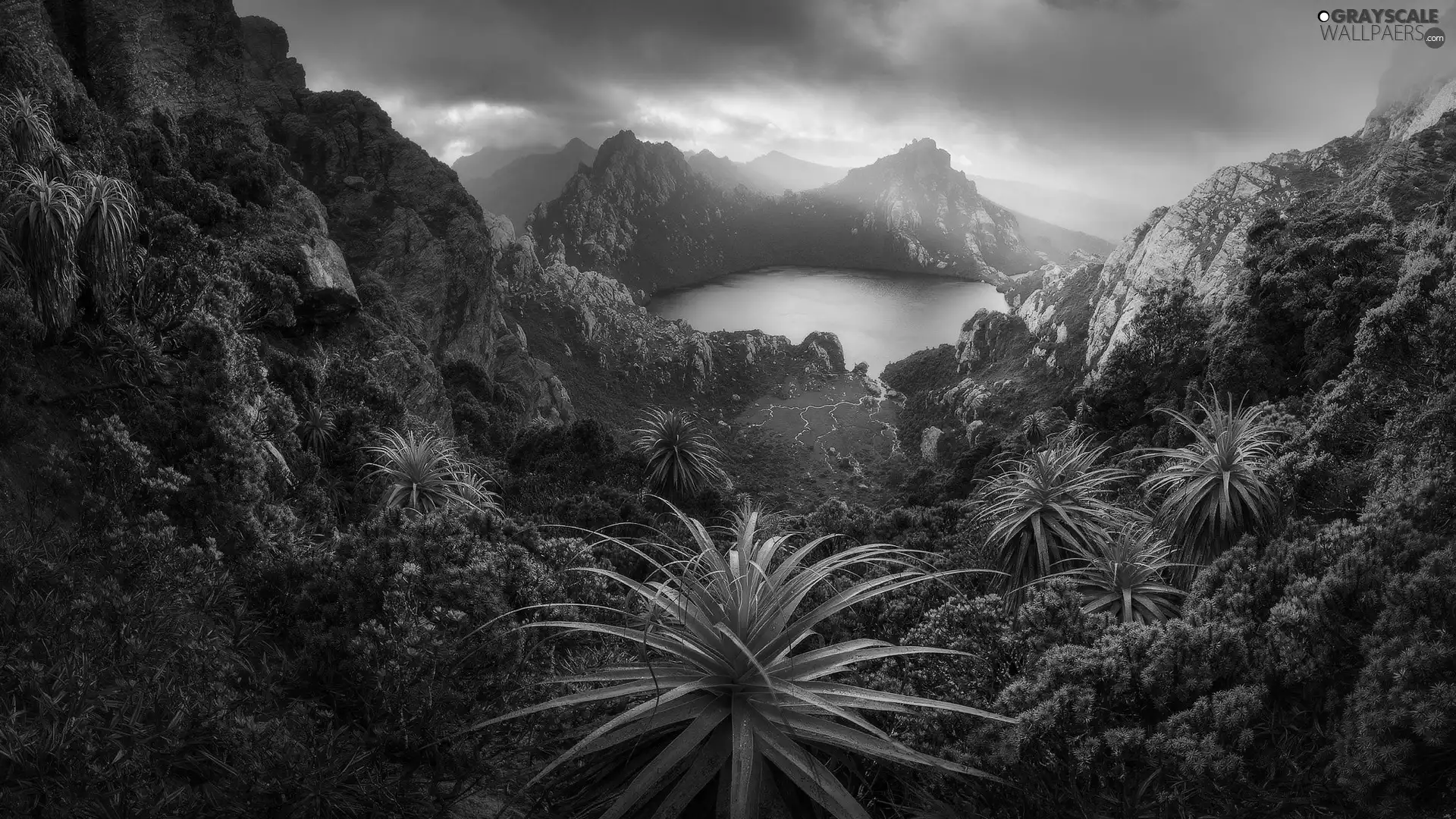 Mountains, Tasmania, Lake Oberon, Southwest National Park, Australia, rocks, Plants