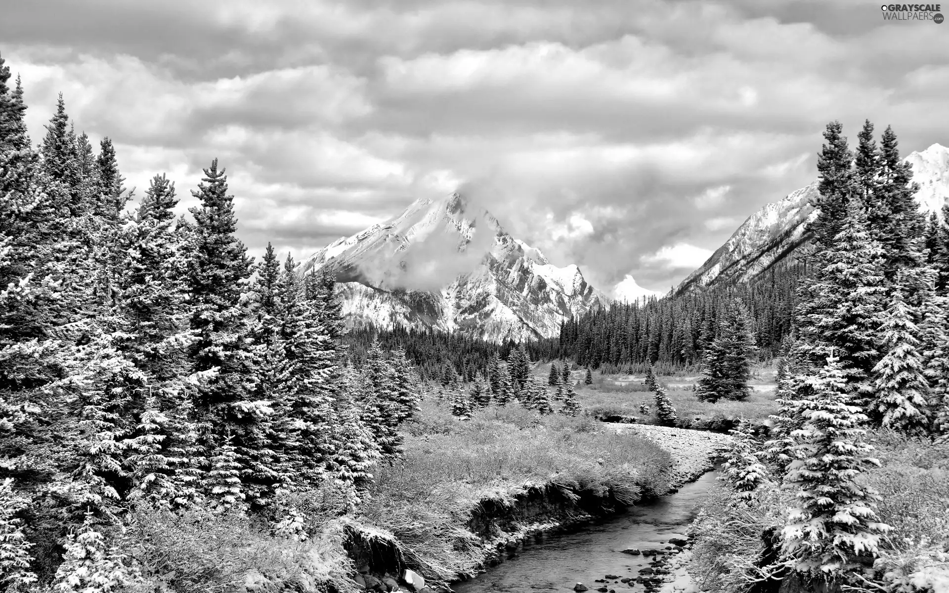 snow, stream, mountains, Spruces