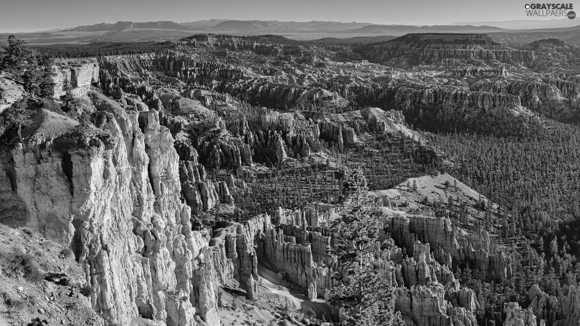 canyon, trees, The United States, viewes, Utah State, Mountains, rocks, Bryce Canyon National Park