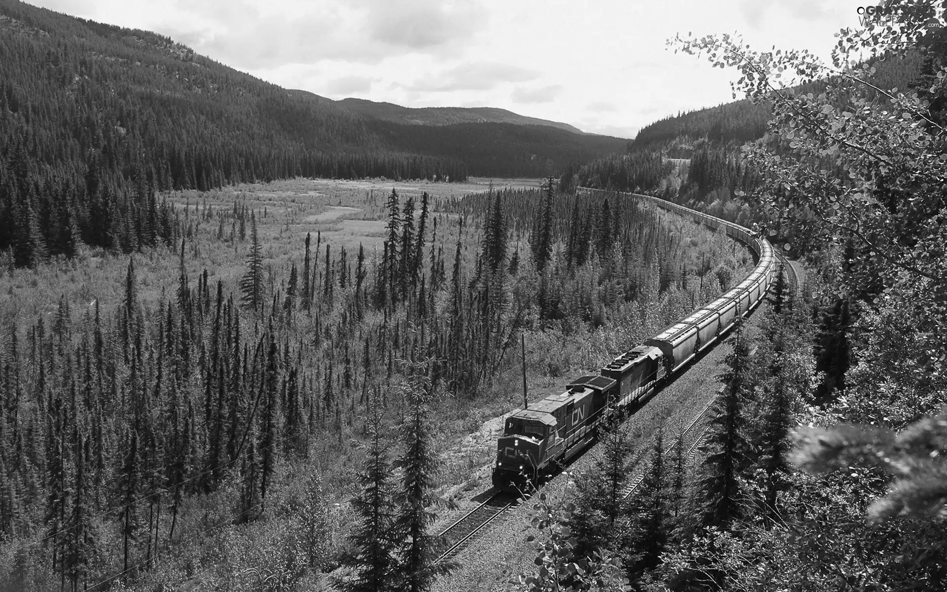 Mountains, long, Train