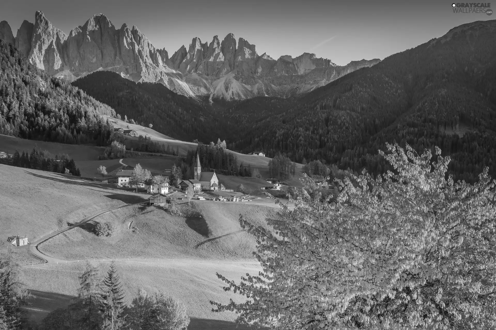 Village of Santa Maddalena, Italy, Mountains, autumn, Church, viewes, trees, Val di Funes Valley, Dolomites, woods, Massif Odle