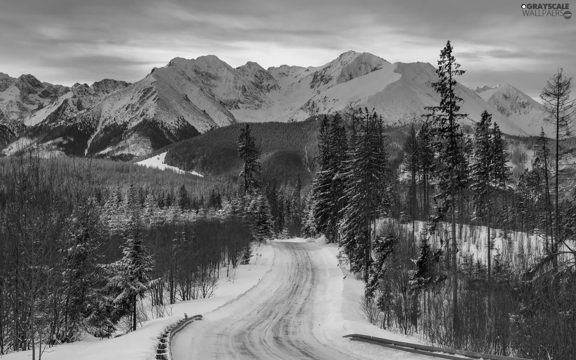 Way, snow, trees, Mountains, winter, woods, viewes